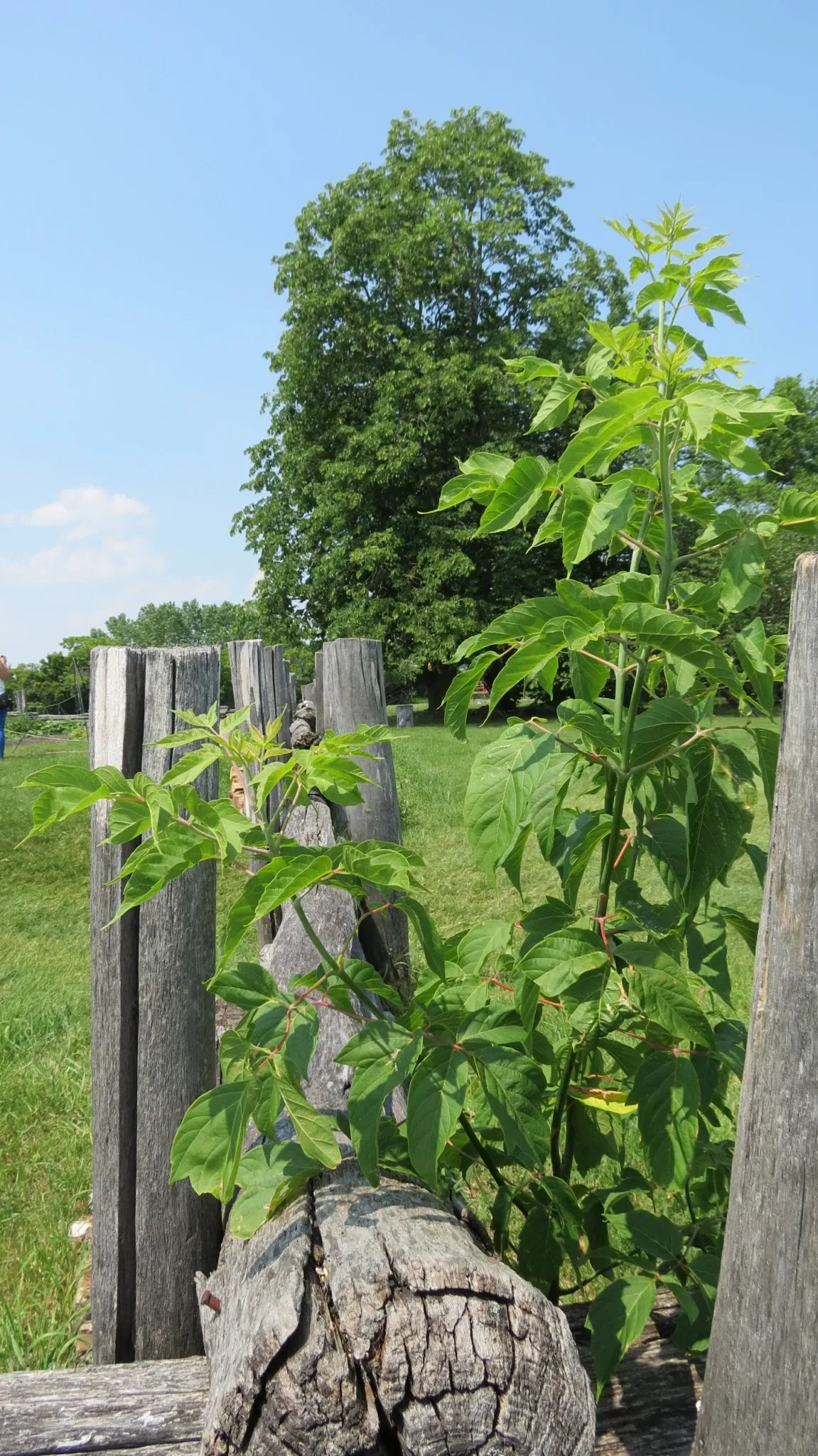 Lower Fort Garry National Historic Site
