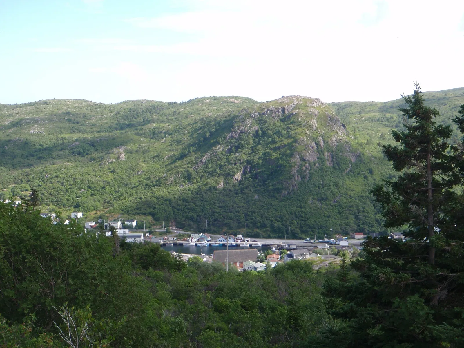 Petty Harbour Mini Aquarium