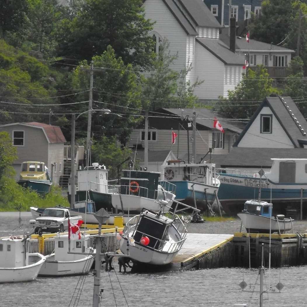 Petty Harbour Mini Aquarium