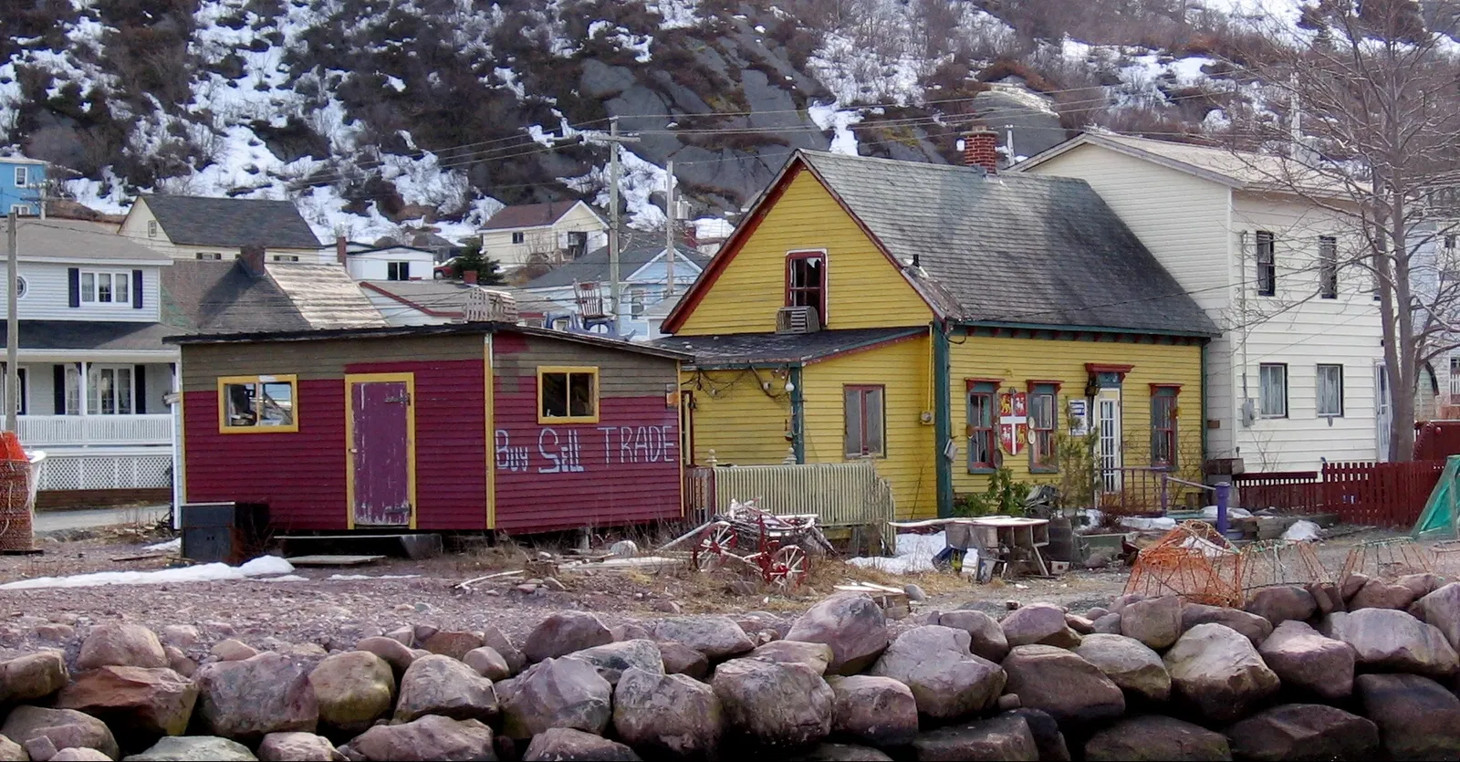 Petty Harbour Mini Aquarium