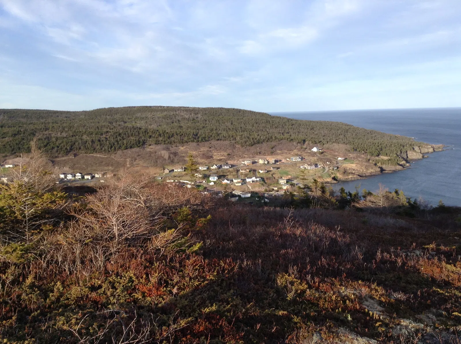 Petty Harbour Mini Aquarium