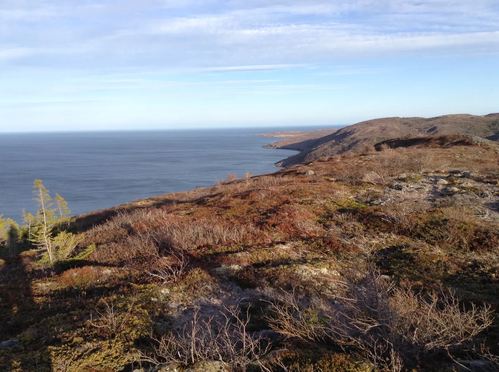 Petty Harbour Mini Aquarium