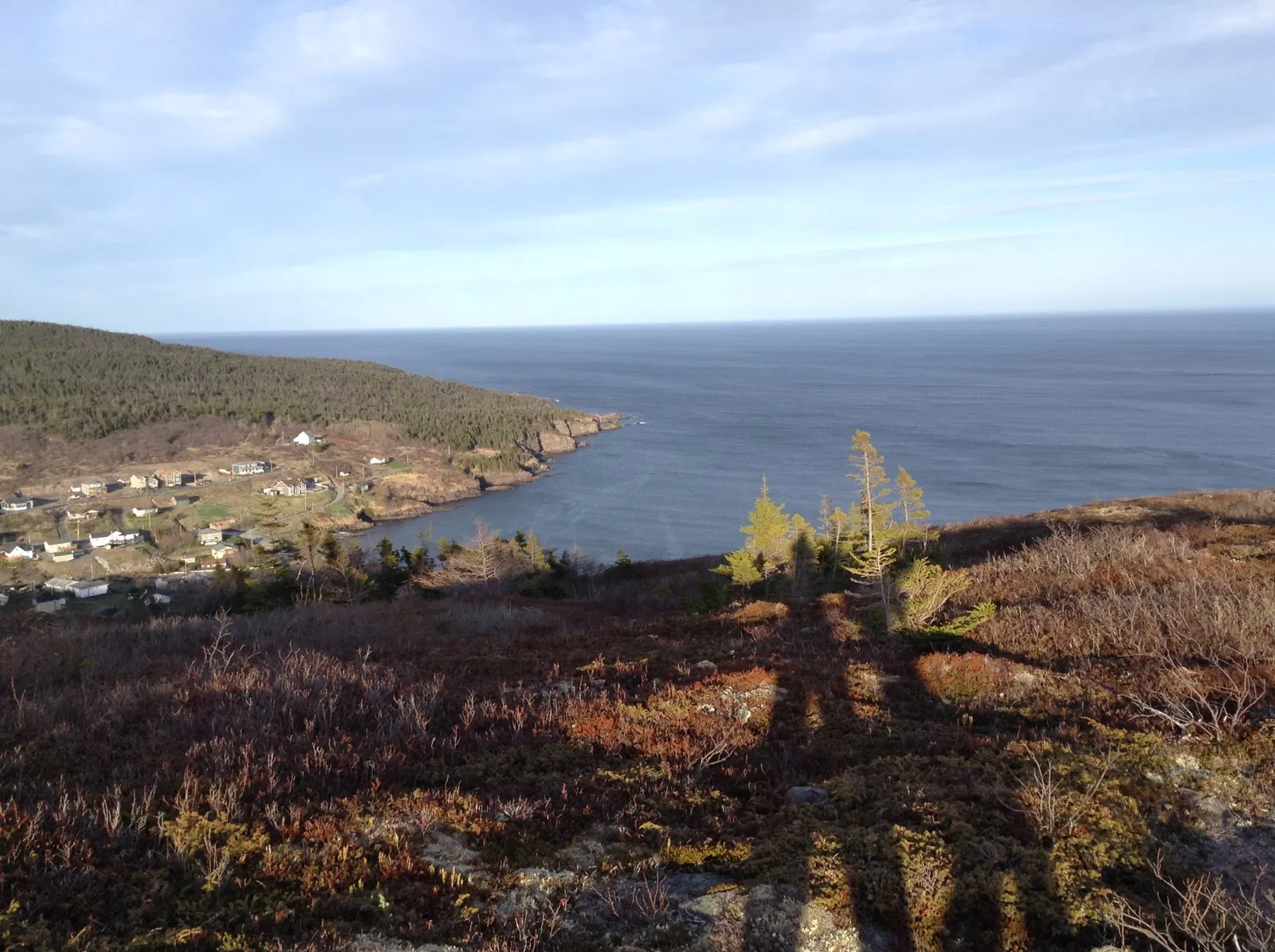 Petty Harbour Mini Aquarium