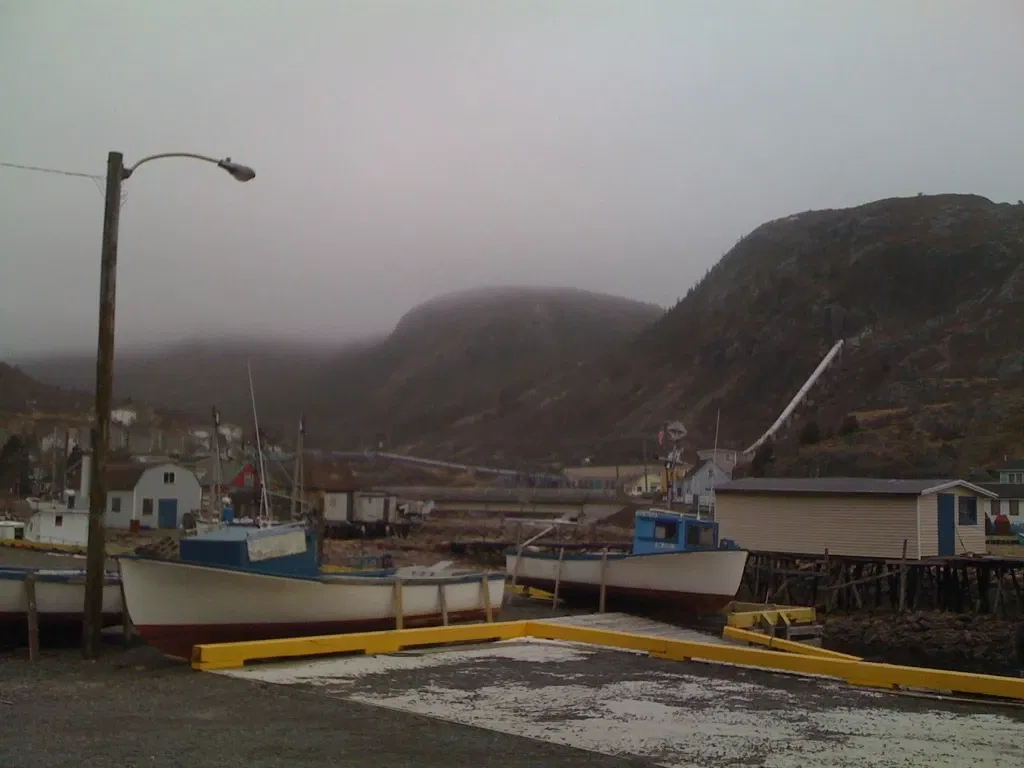 Petty Harbour Mini Aquarium