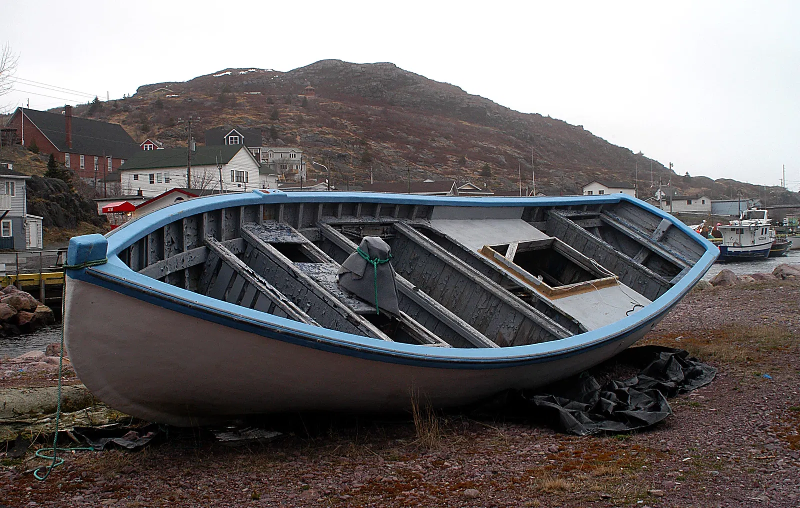 Petty Harbour Mini Aquarium
