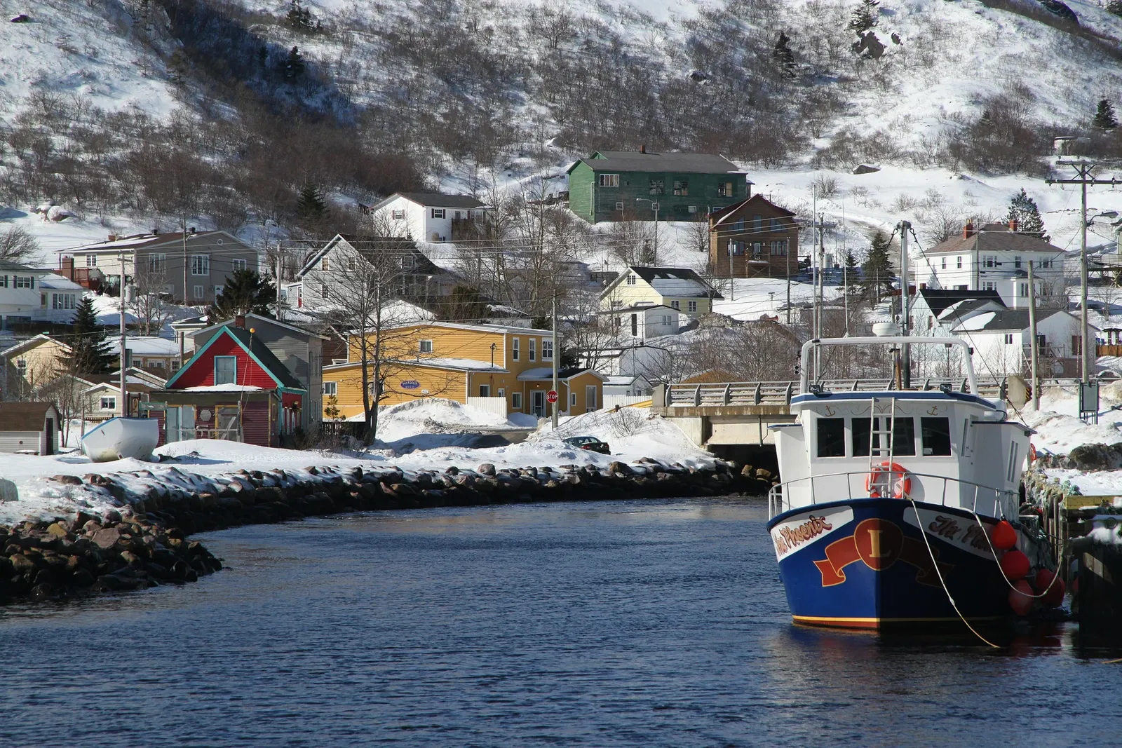 Petty Harbour Mini Aquarium