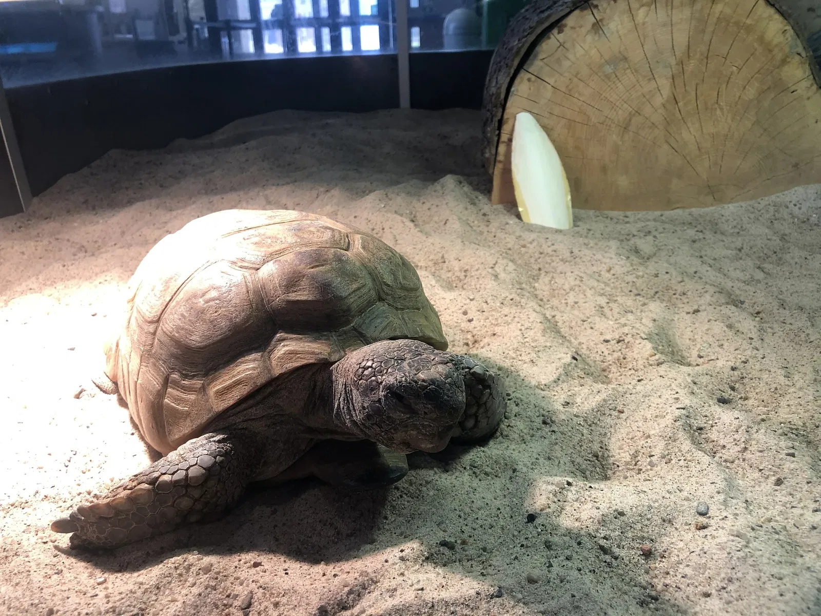 Museum of Natural History