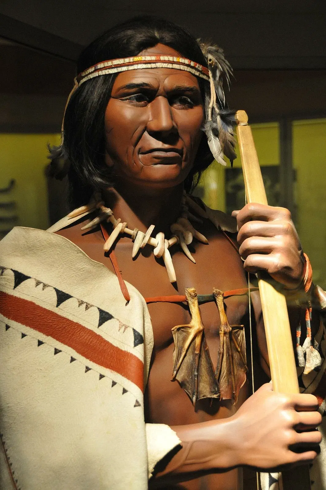 Nova Scotia Museum of Natural History