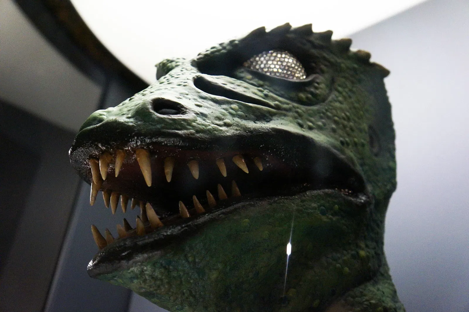 Museum of Natural History