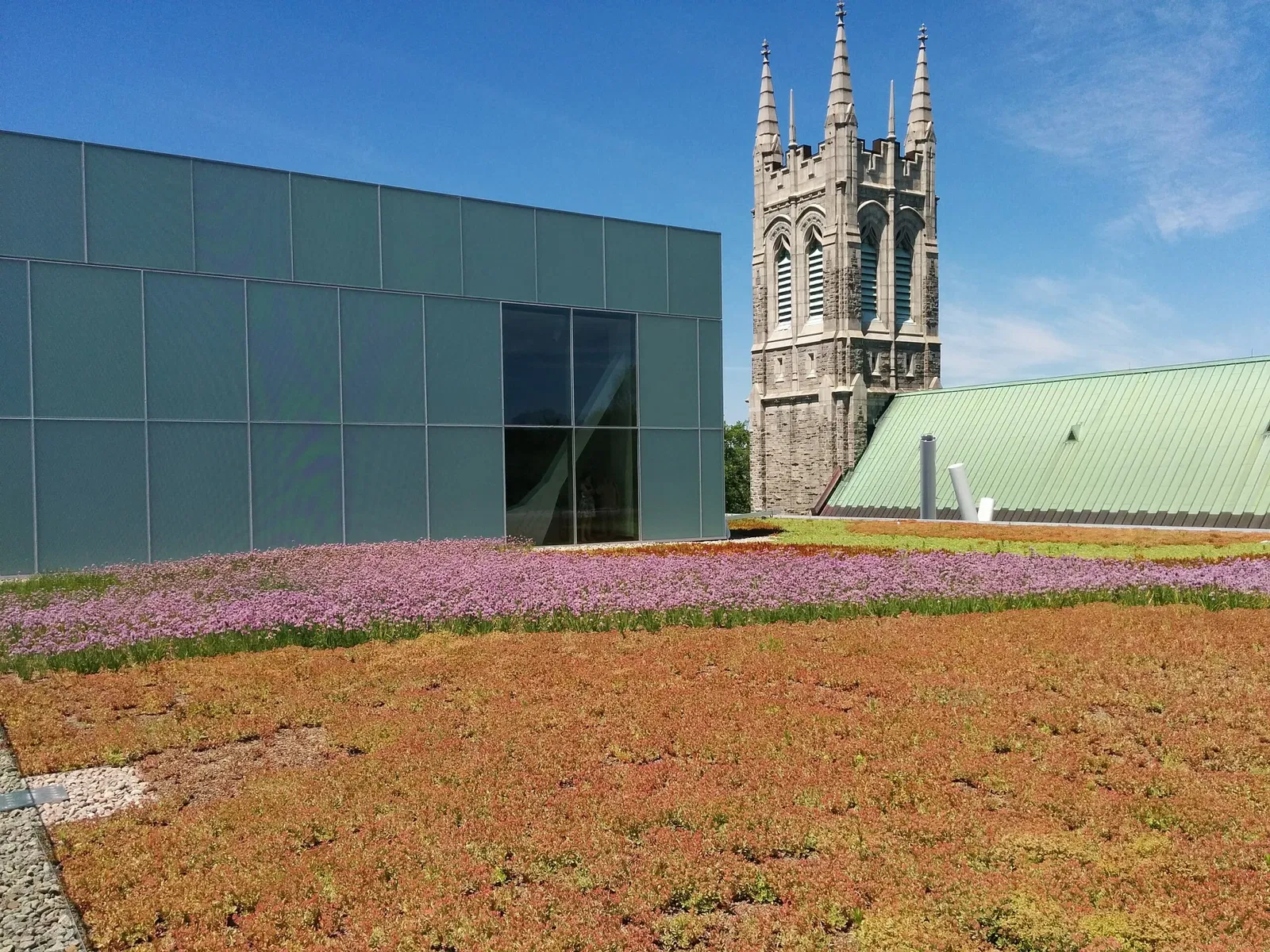 Pavillon Pierre-Lassonde