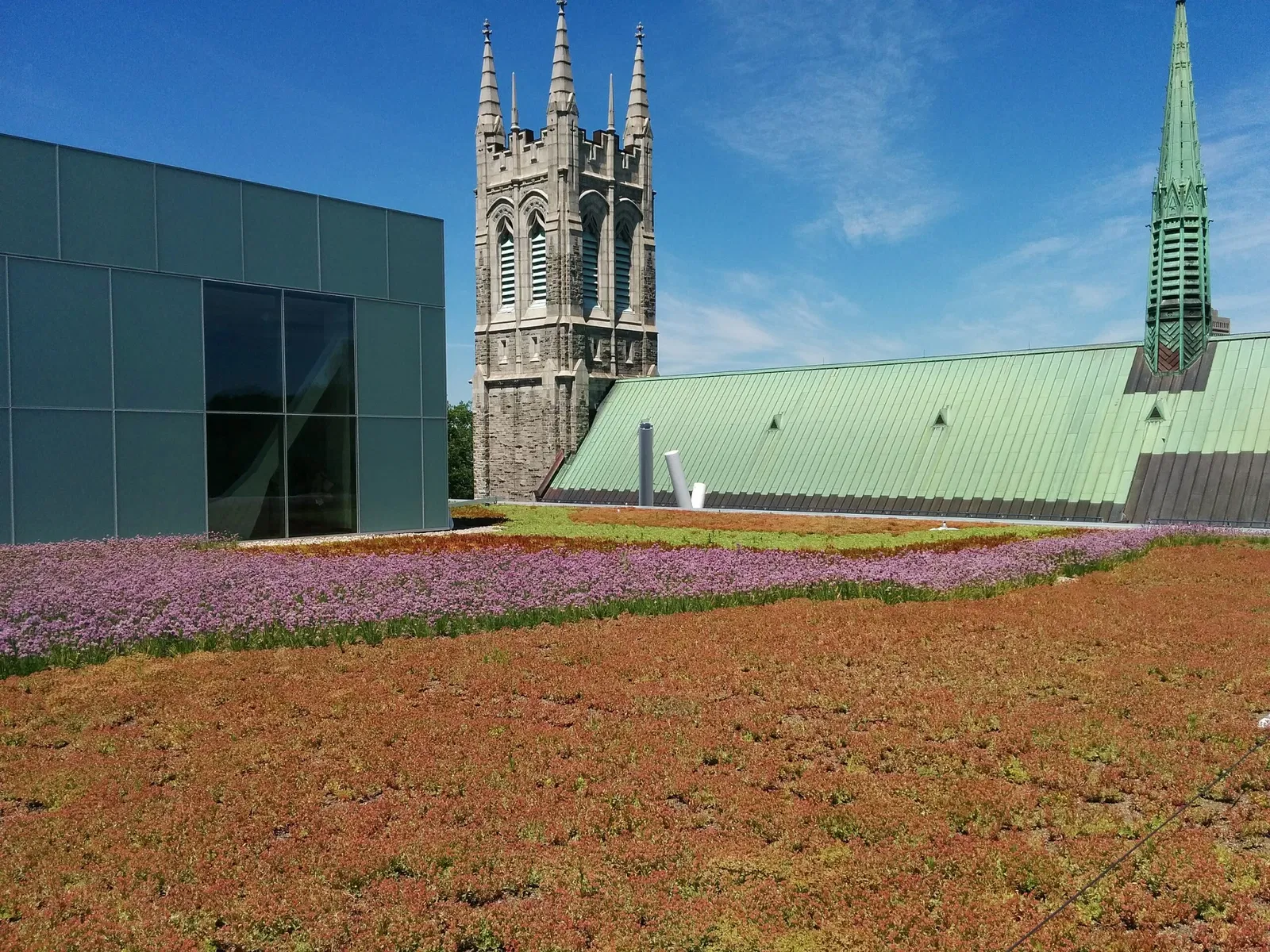 Pavillon Pierre-Lassonde