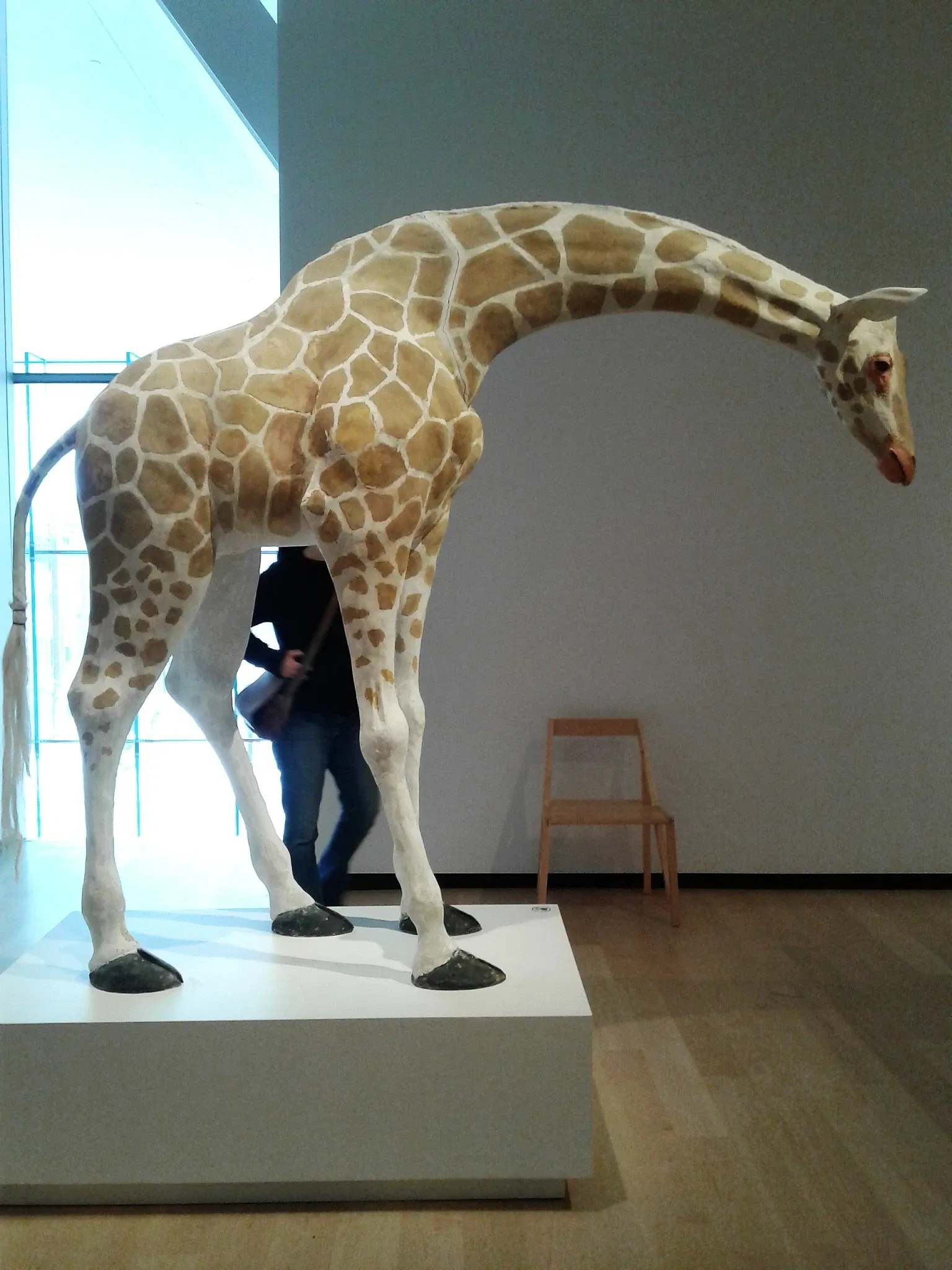 Pavillon Pierre-Lassonde