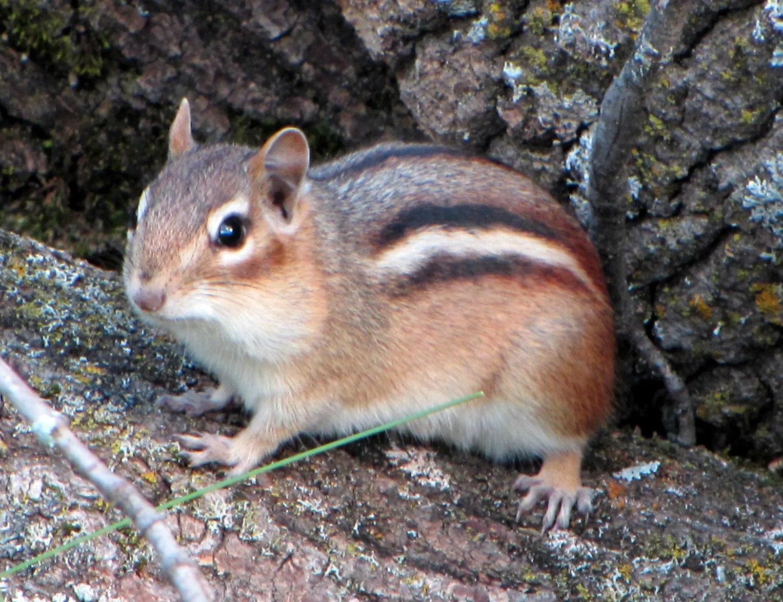 Parc de la Gatineau