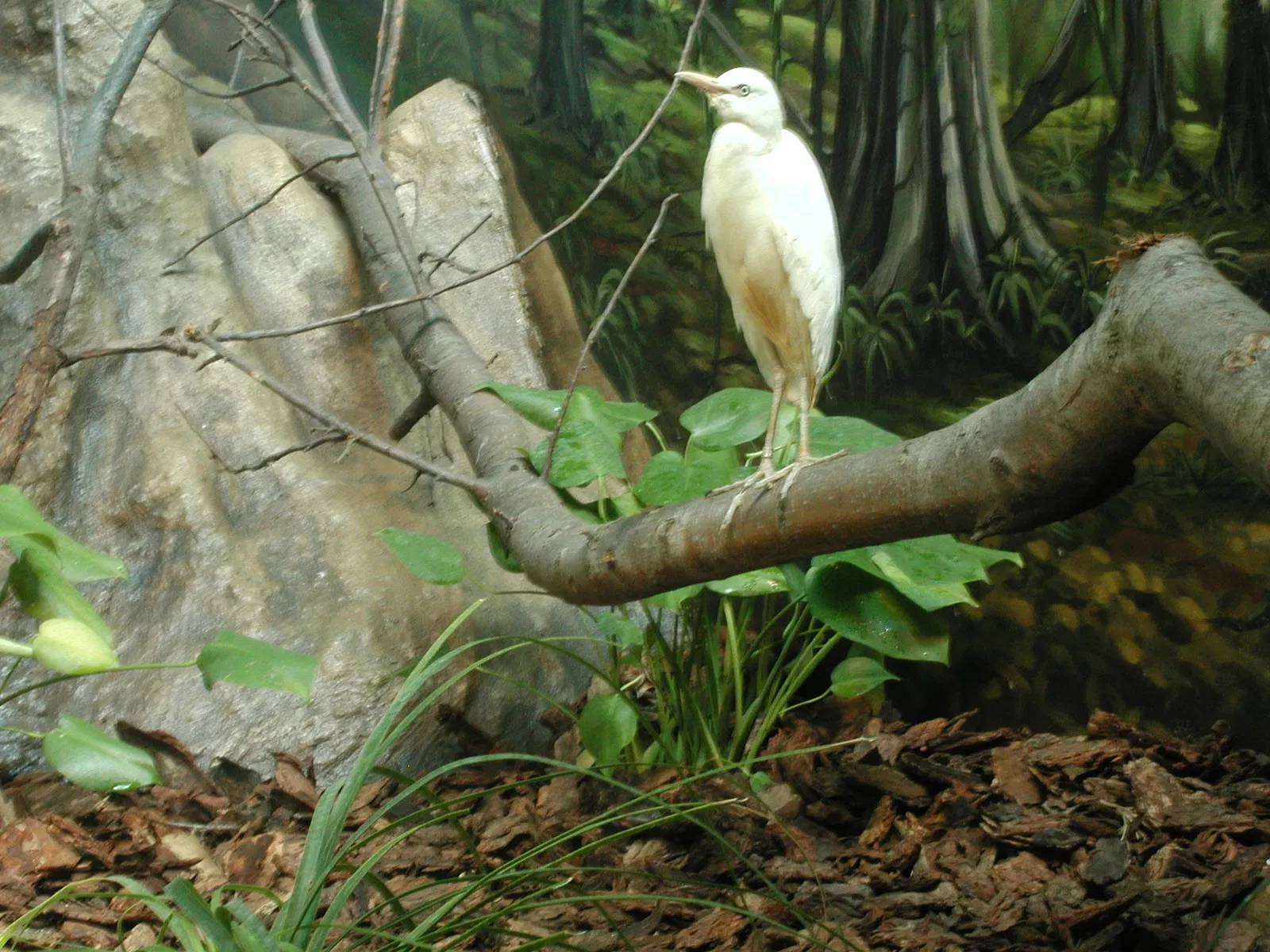Zoológico de Granby