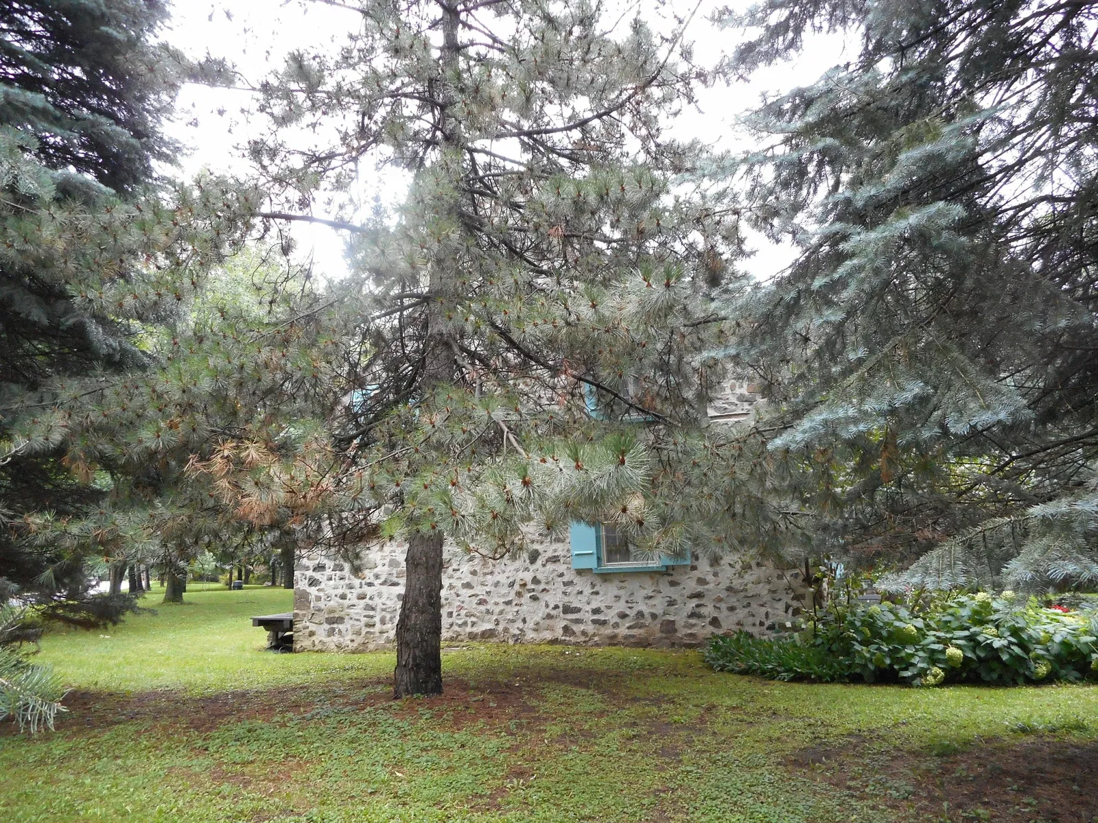 Maison Louis-Hippolyte-La Fontaine