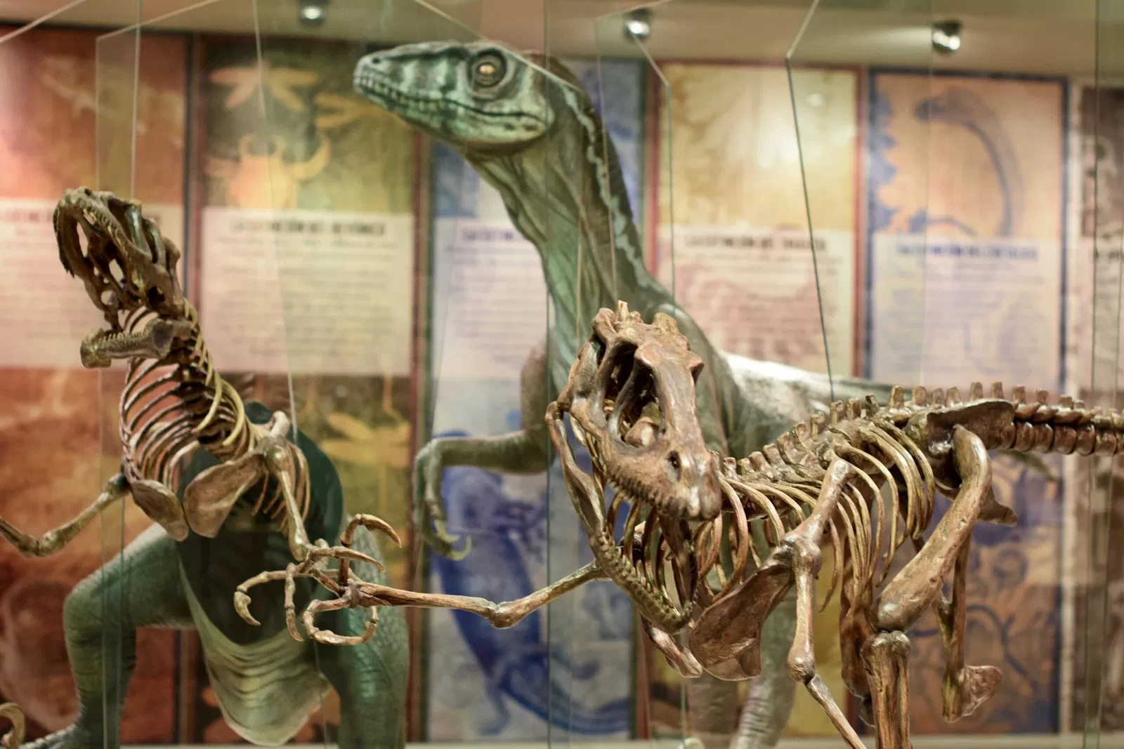 Gran Museo del Mundo Maya de Mérida