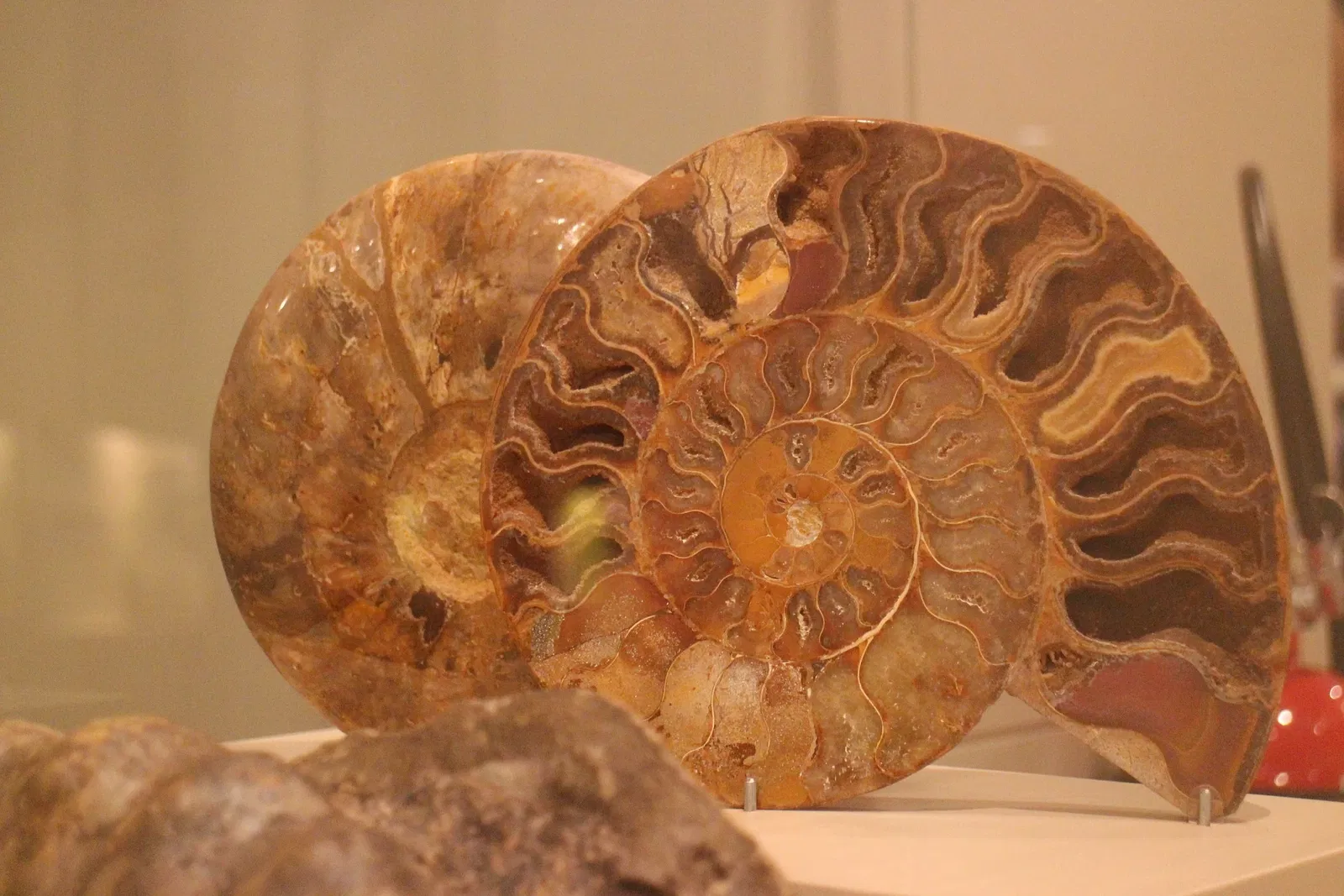 Gran Museo del Mundo Maya de Mérida