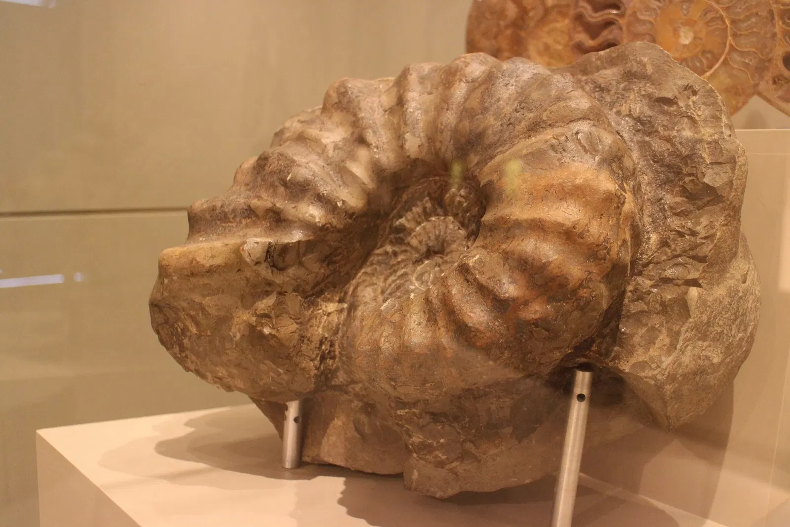 Gran Museo del Mundo Maya de Mérida