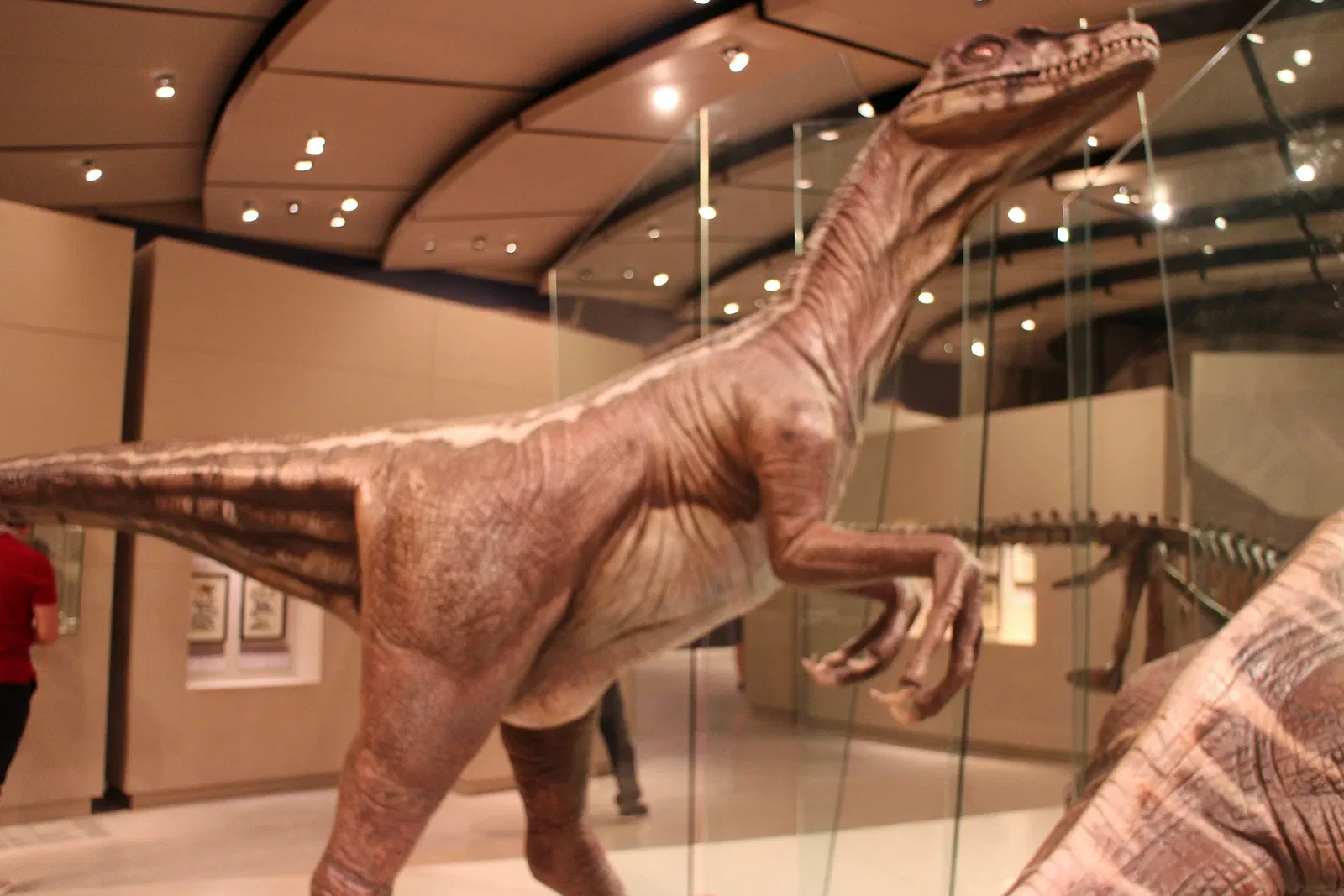 Gran Museo del Mundo Maya de Mérida