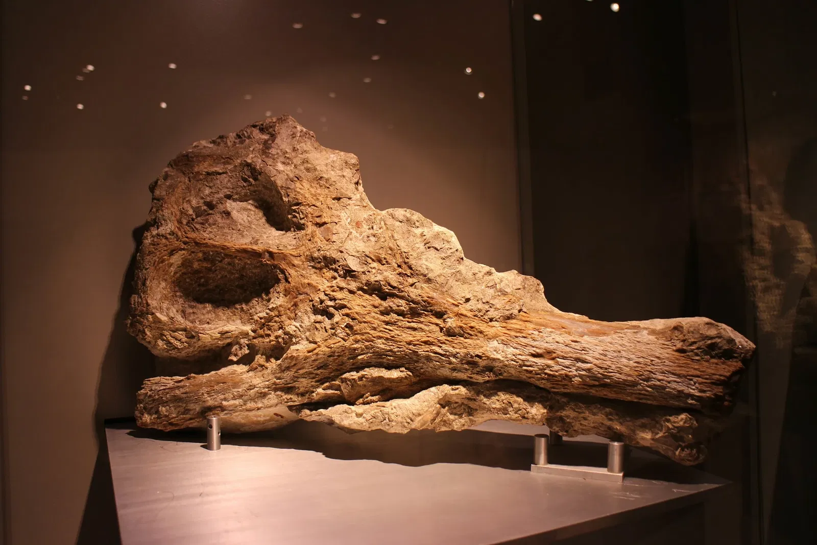 Gran Museo del Mundo Maya de Mérida