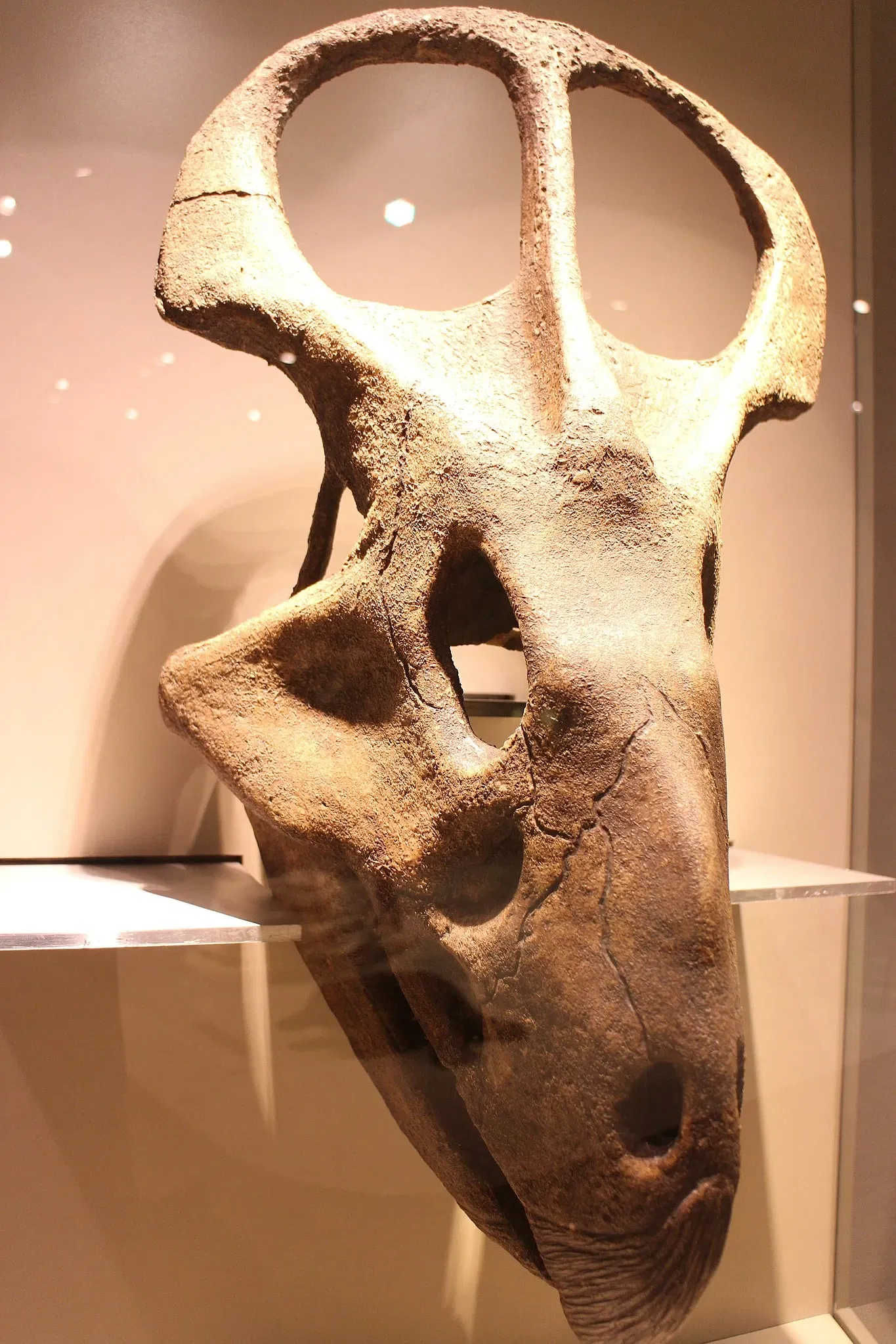 Gran Museo del Mundo Maya de Mérida