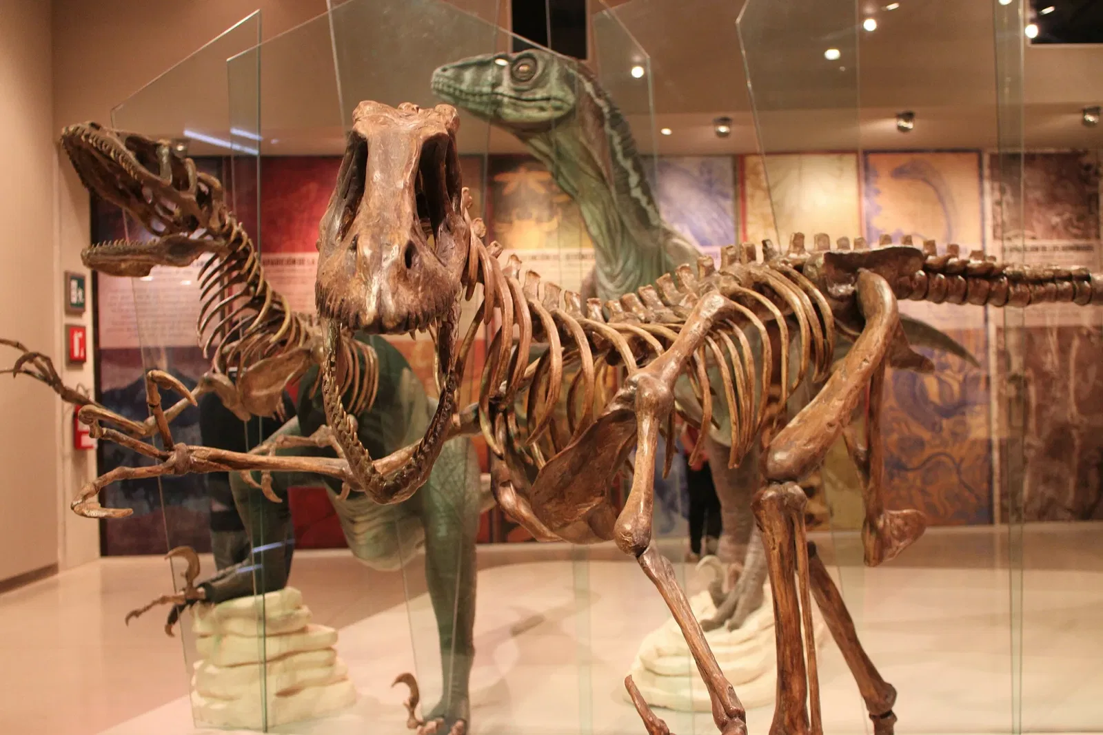 Gran Museo del Mundo Maya de Mérida