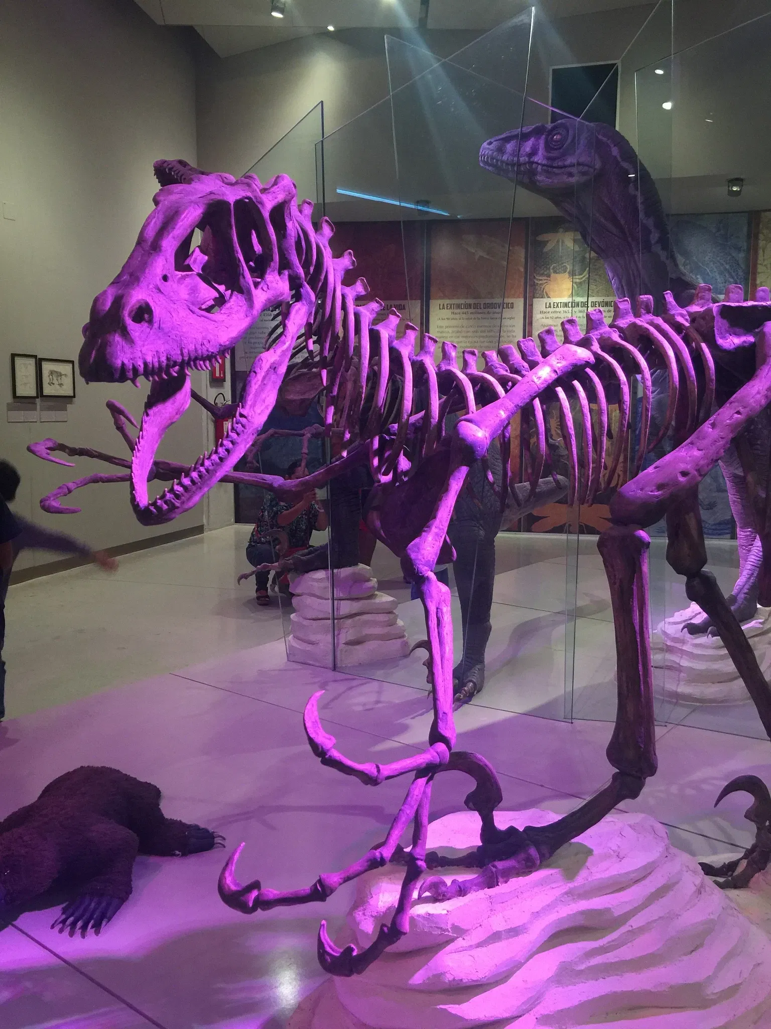 Gran Museo del Mundo Maya de Mérida