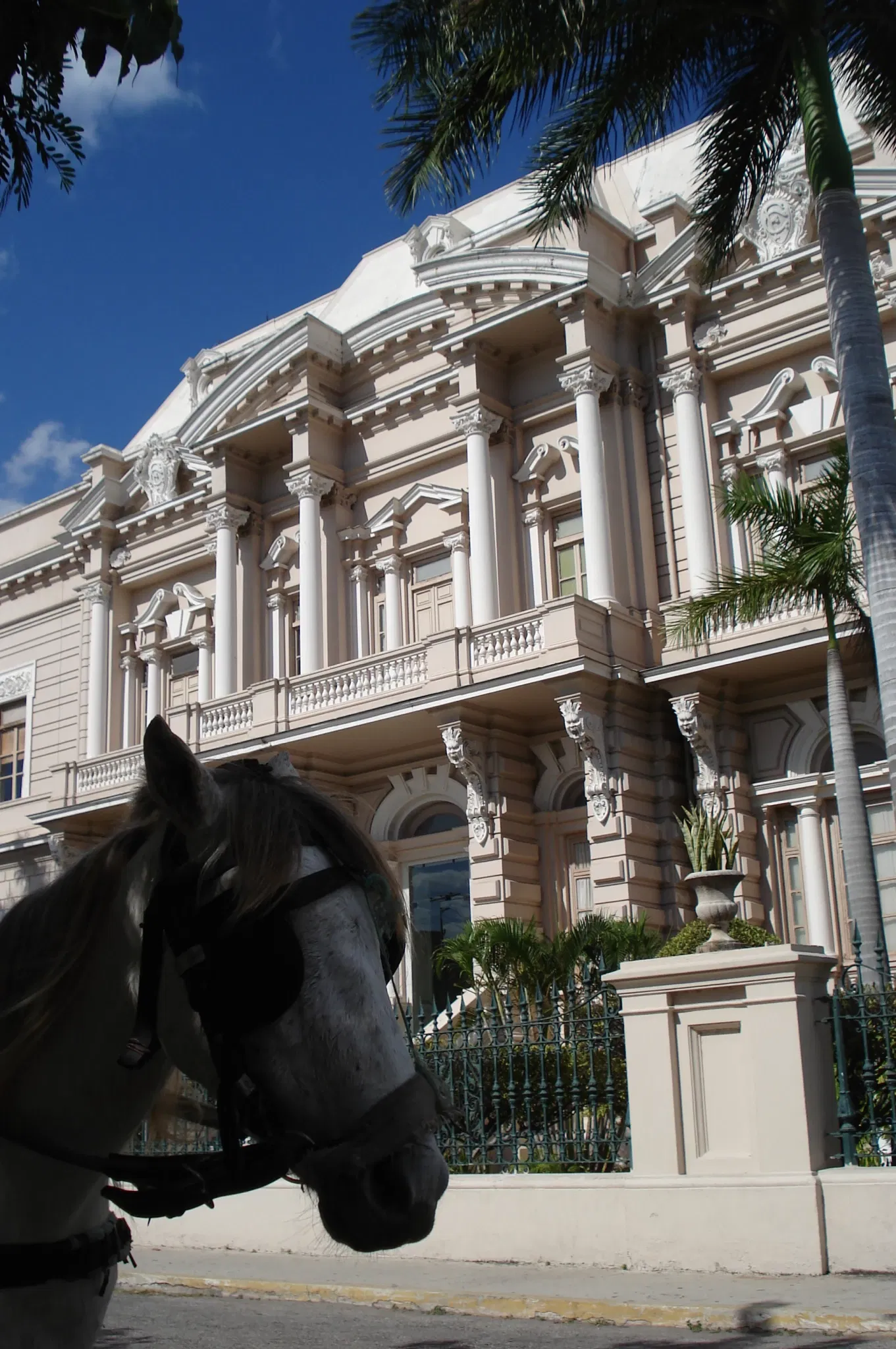 Palacio Cantón - Museo Regionale di Antropologia e Storia dello Yucatán