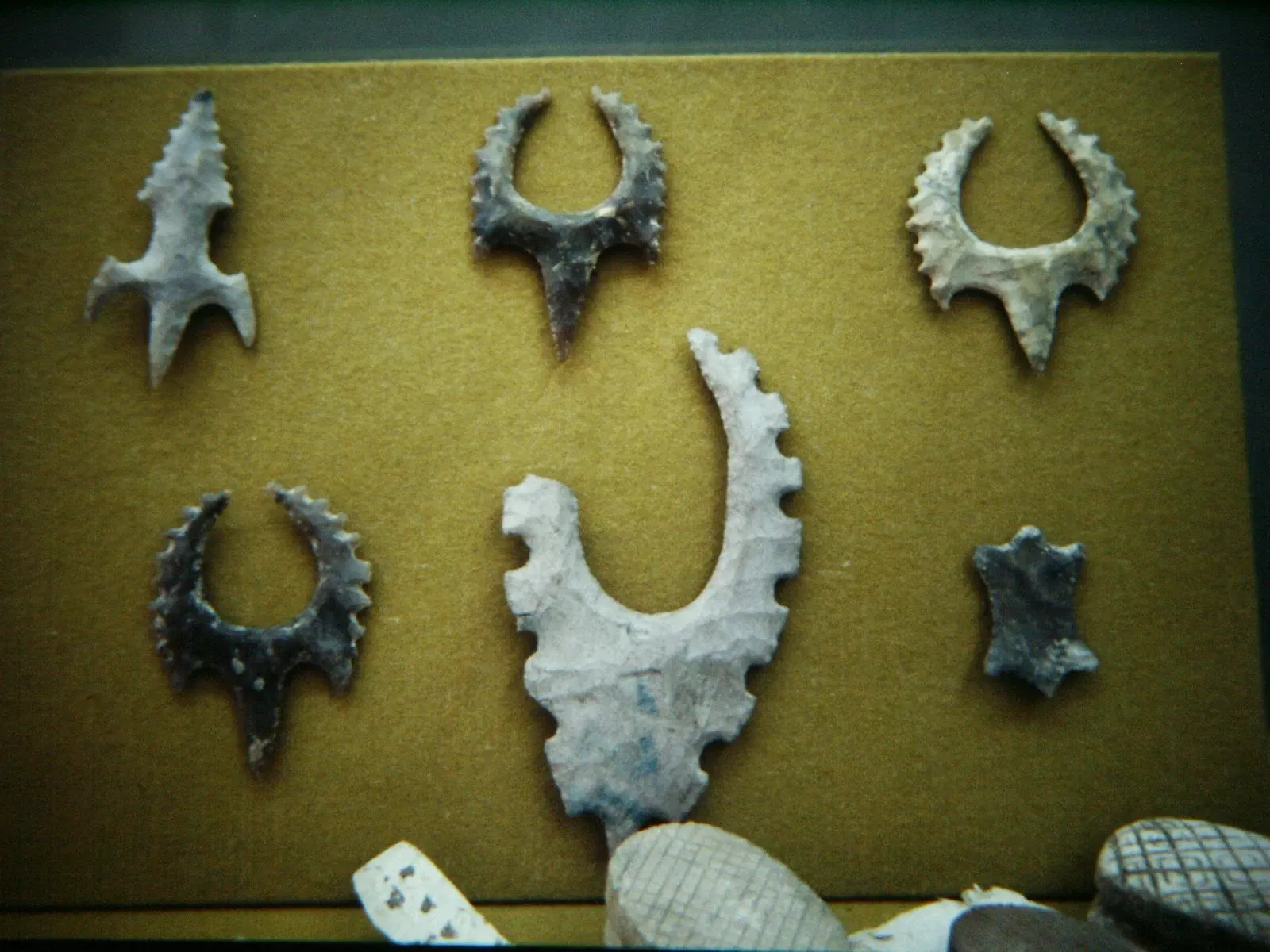 Museo Regional de Antropología de Yucatán, Palacio Cantón