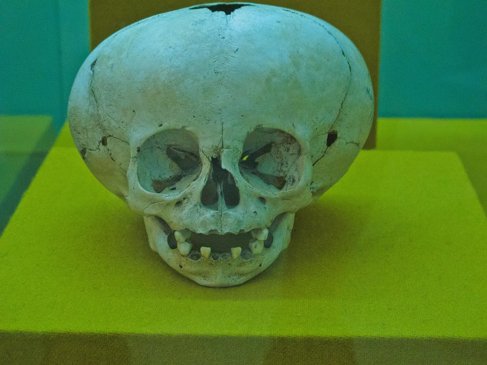 Palacio Cantón - Museo Regionale di Antropologia e Storia dello Yucatán