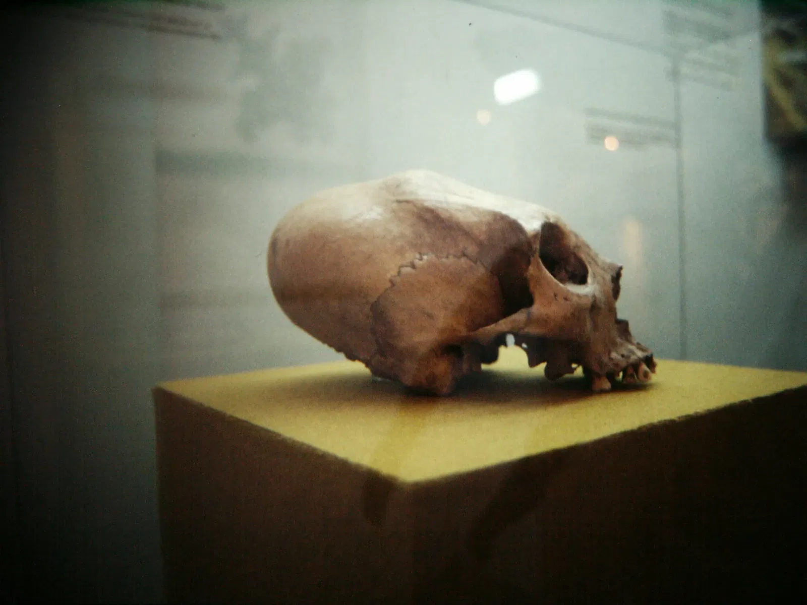 Museo Regional de Antropología de Yucatán, Palacio Cantón