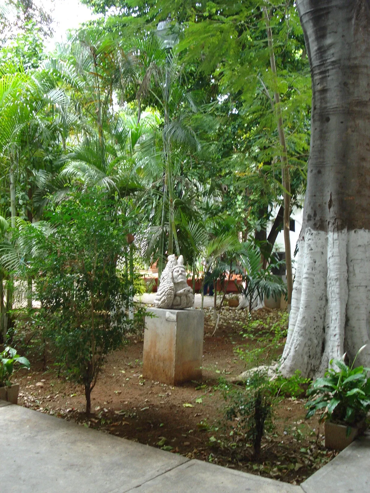 Museo Fernando García Ponce-MACAY