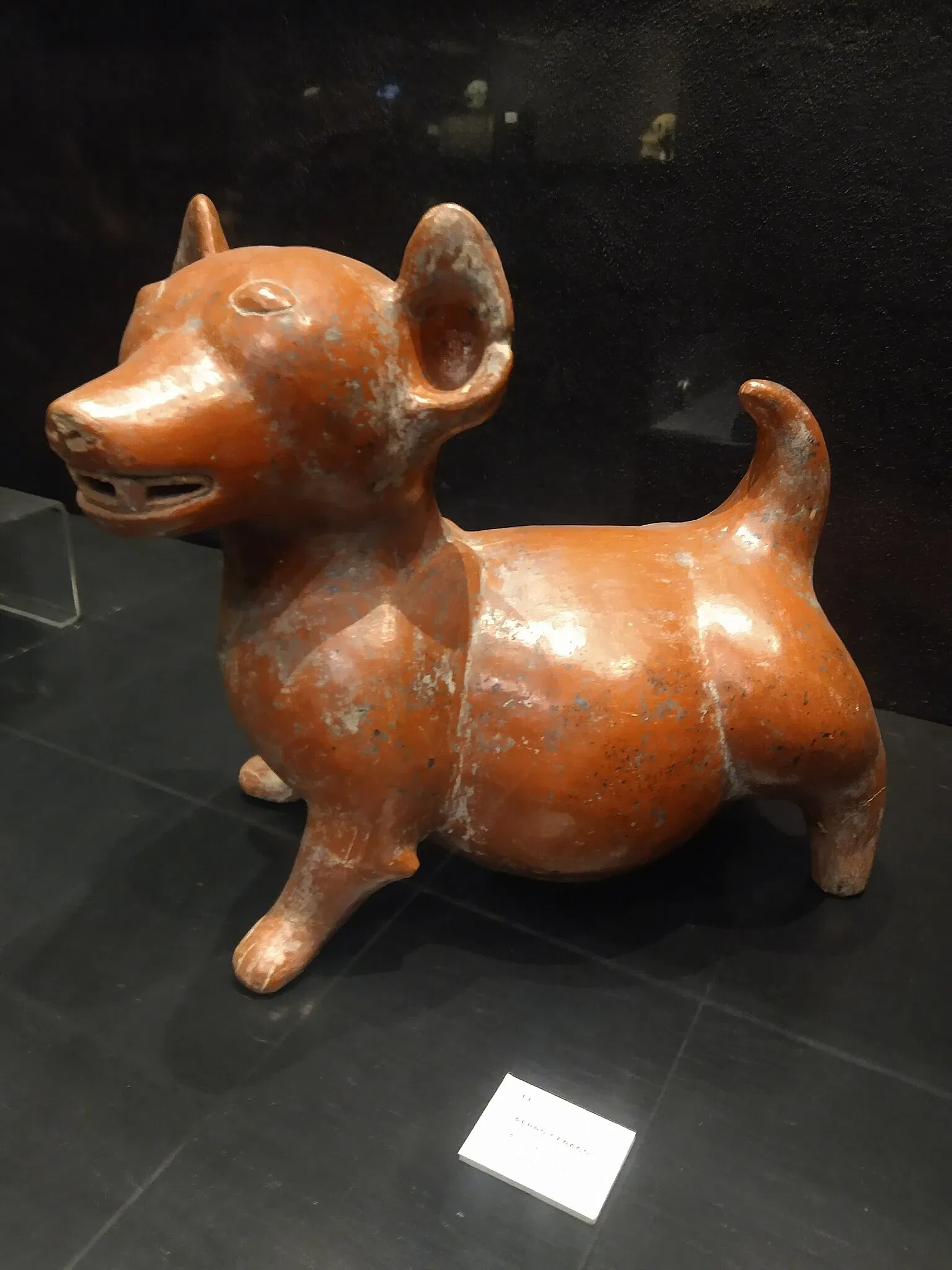 Museo Nacional de la Muerte