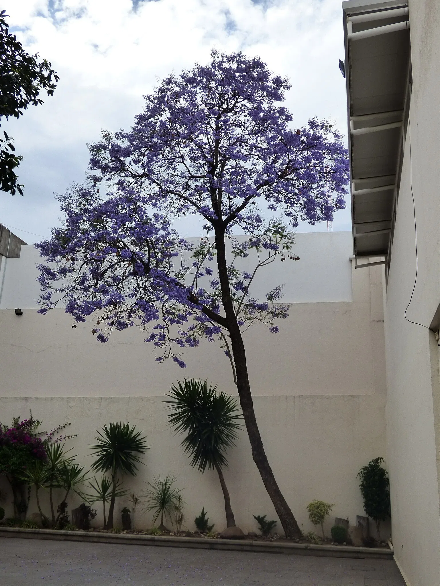 Museo Nacional de la Muerte