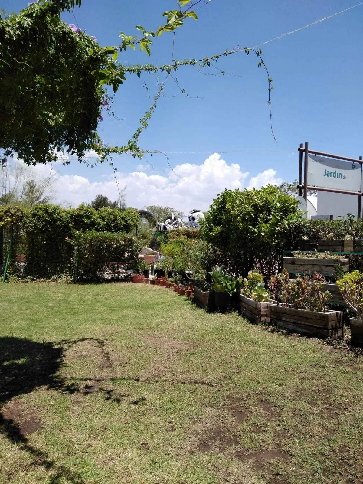 Descubre Museo Interactivo de Ciencia y Tecnología