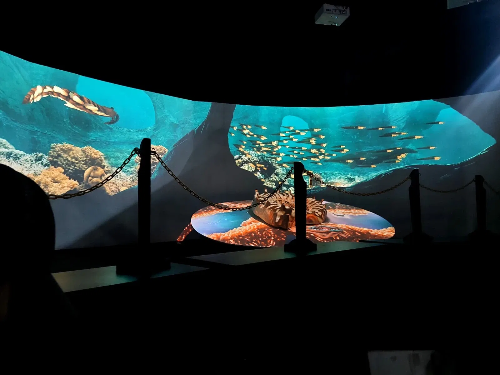 Discover Interactive Museum of Science and Technology