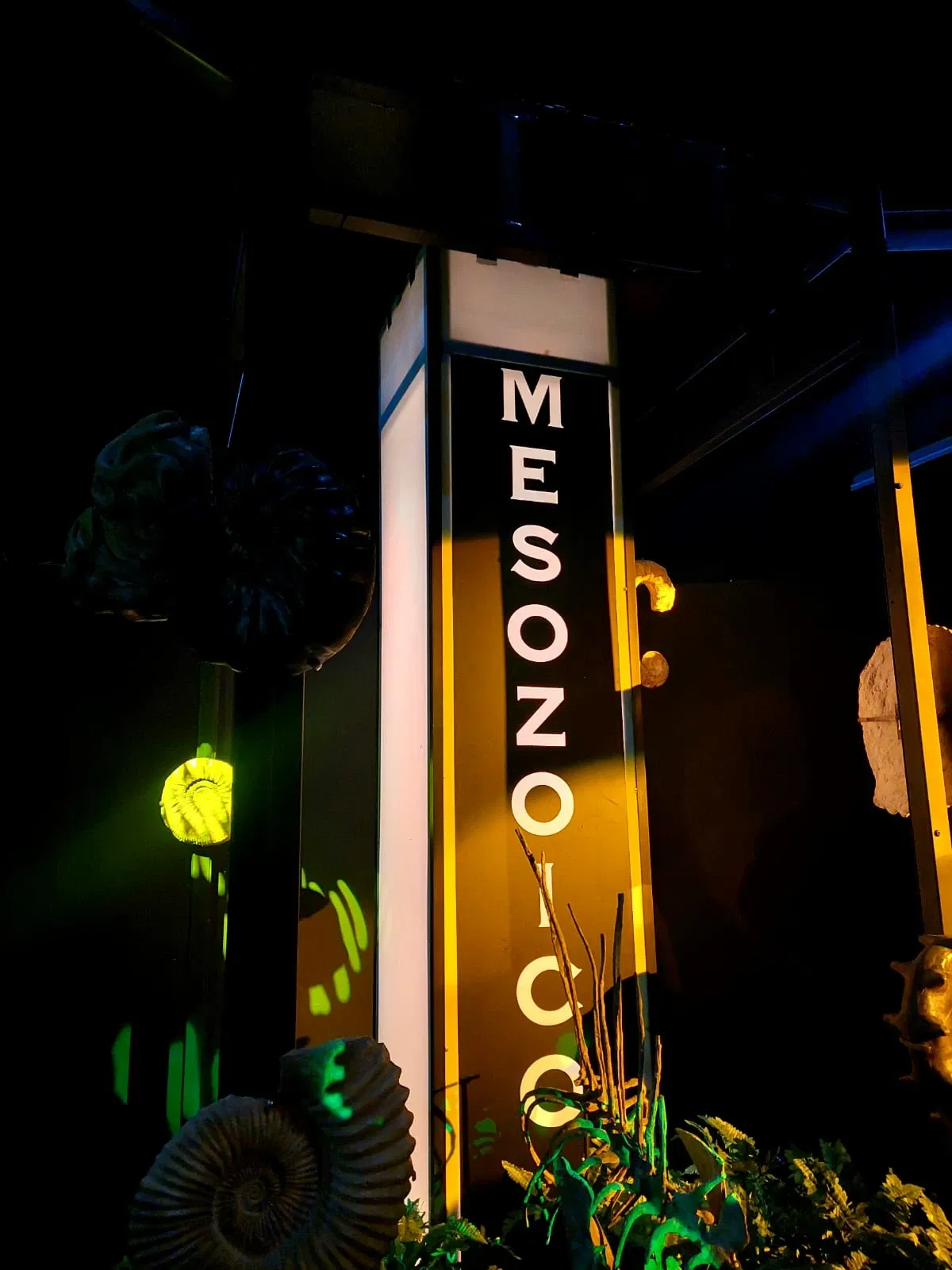 Discover Interactive Museum of Science and Technology