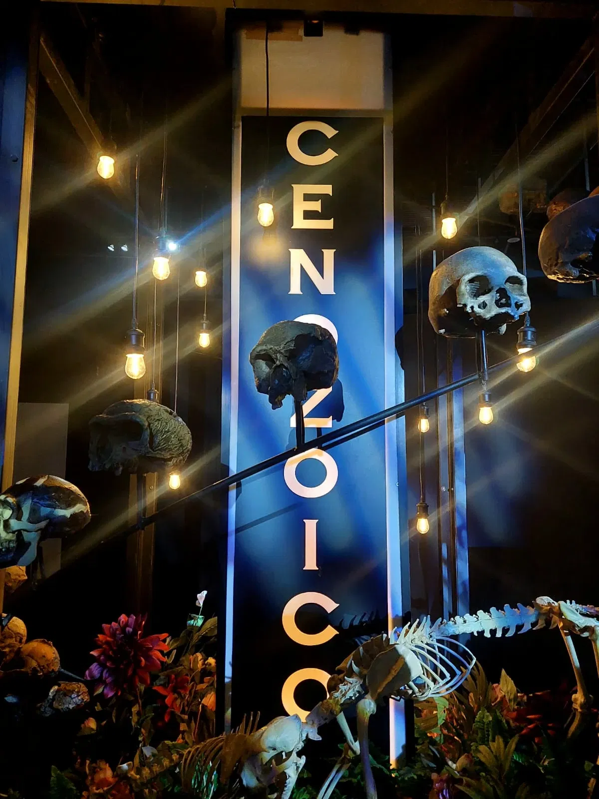 Discover Interactive Museum of Science and Technology