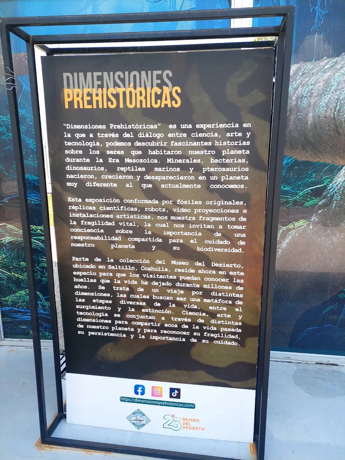 Descubre Museo Interactivo de Ciencia y Tecnología