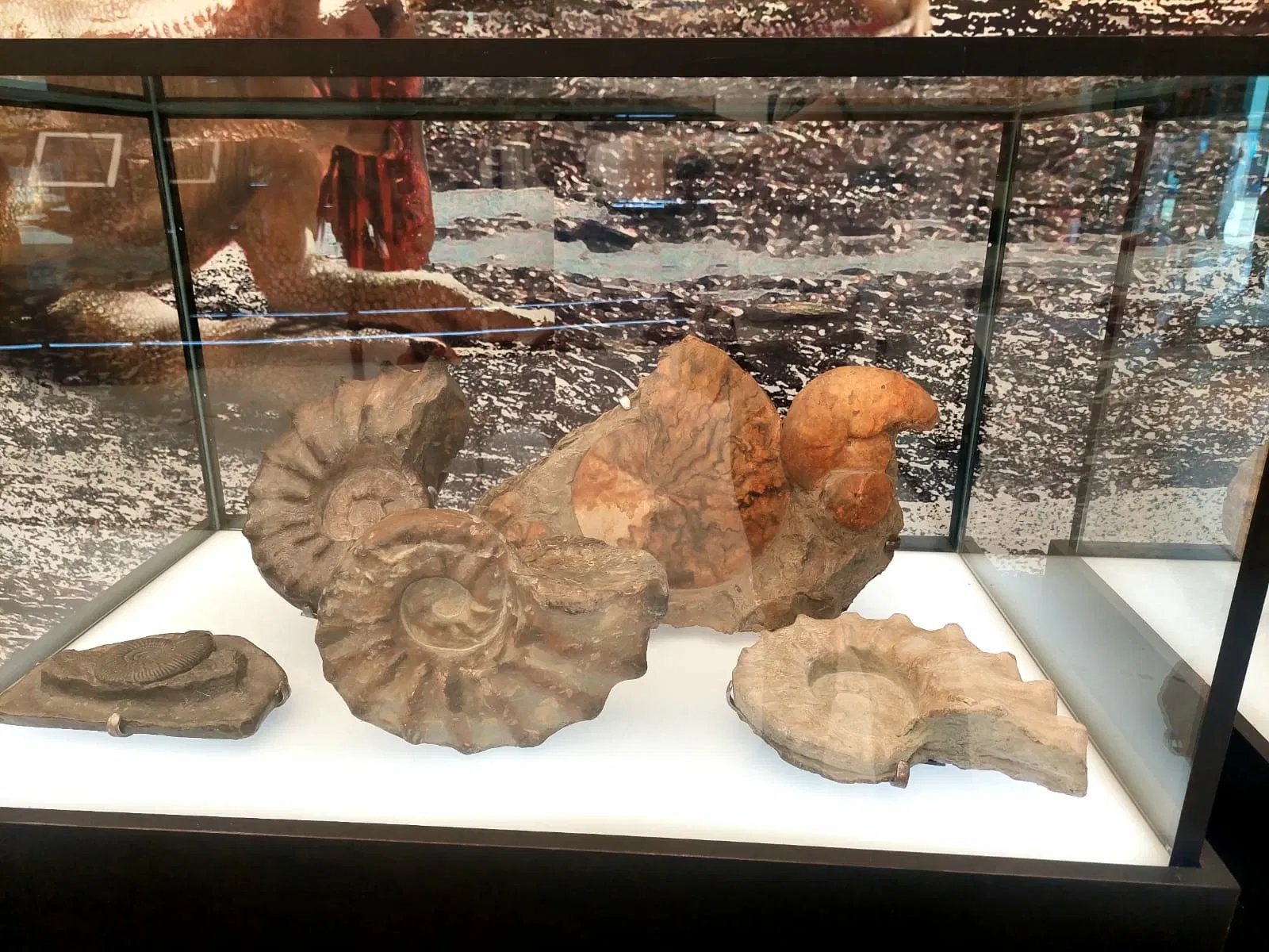 Discover Interactive Museum of Science and Technology