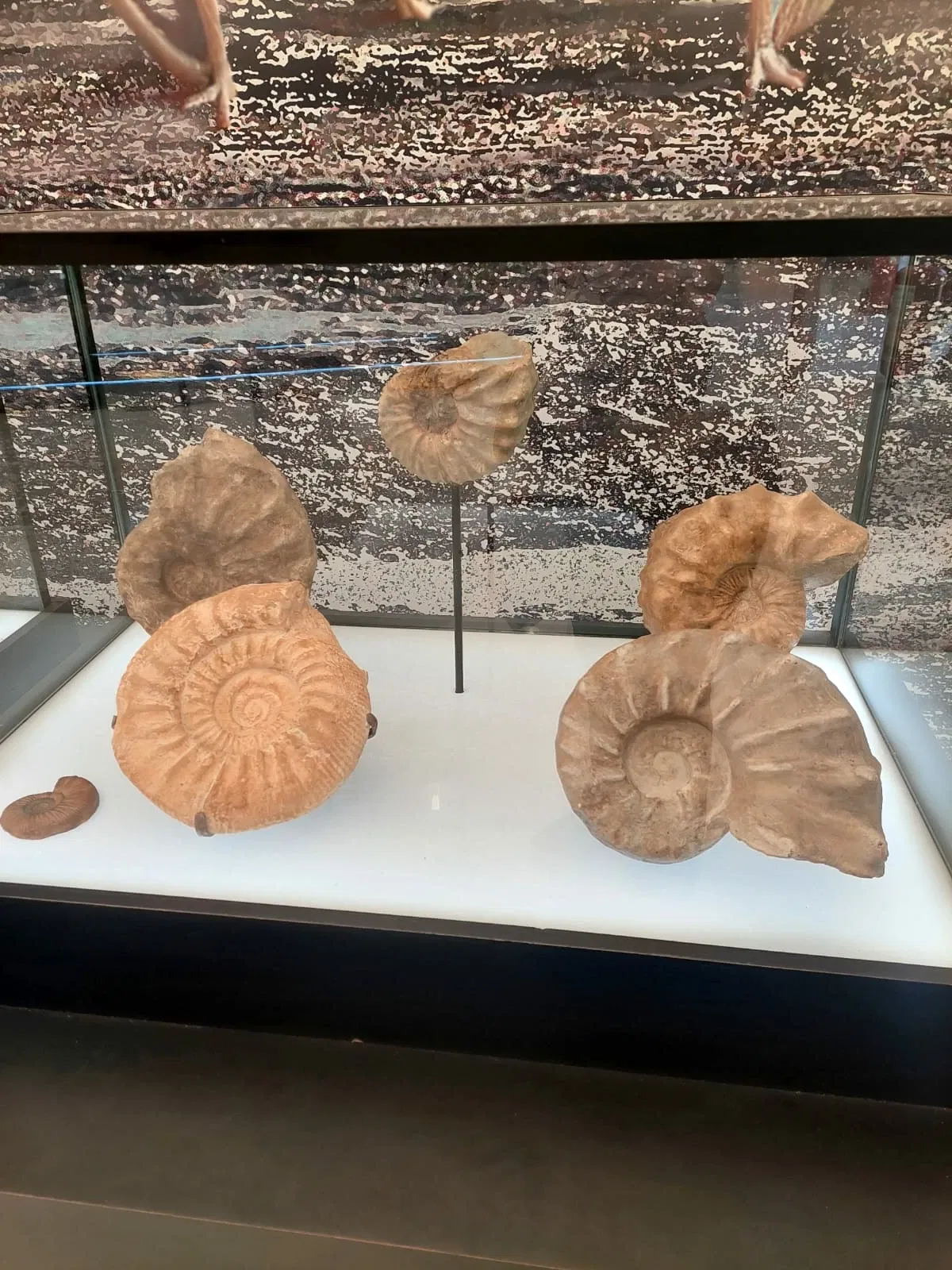 Descubre Museo Interactivo de Ciencia y Tecnología