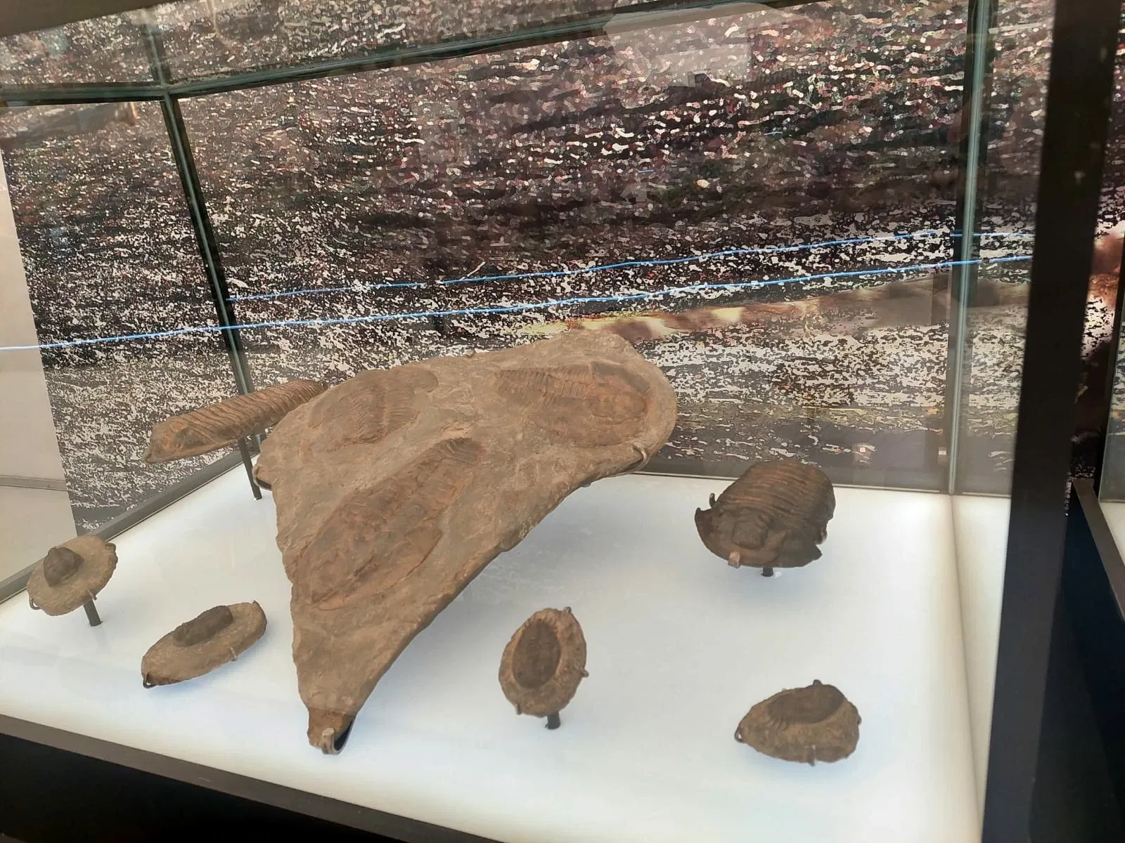 Discover Interactive Museum of Science and Technology