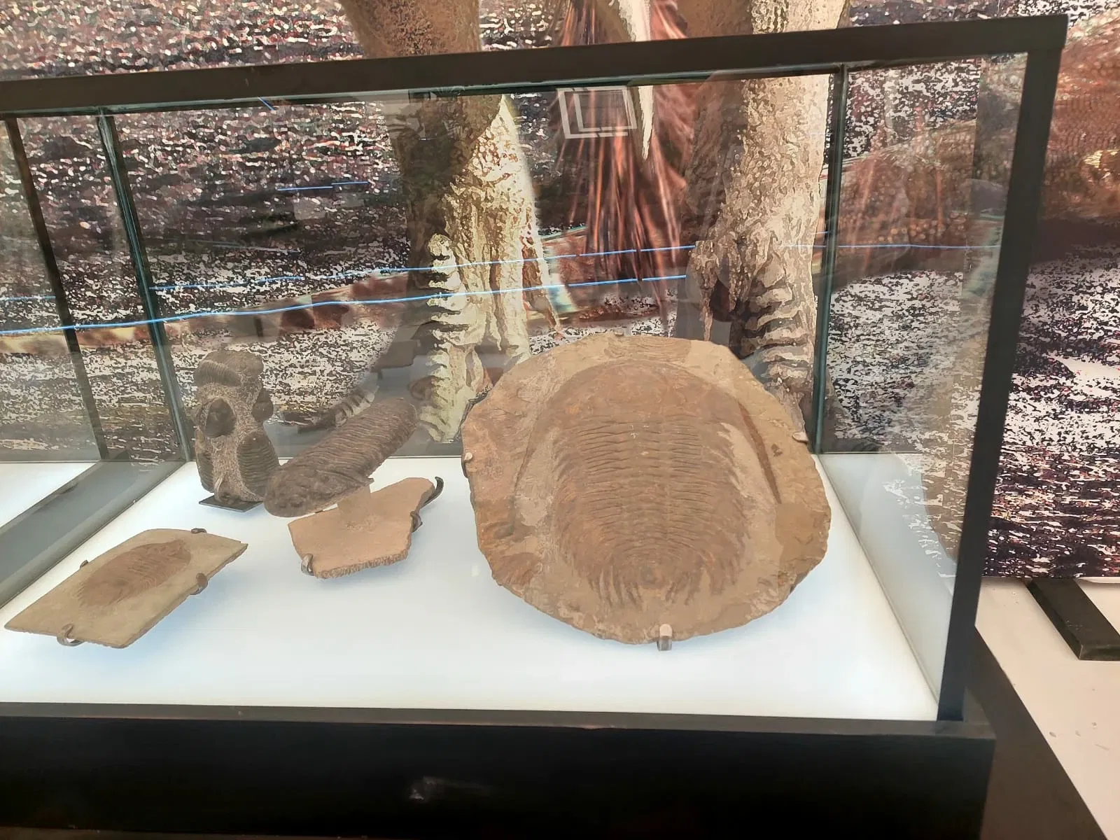 Discover Interactive Museum of Science and Technology