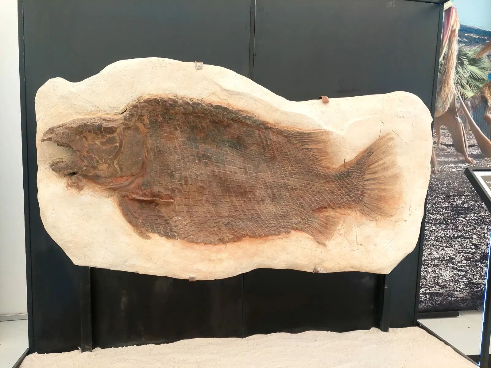 Descubre Museo Interactivo de Ciencia y Tecnología