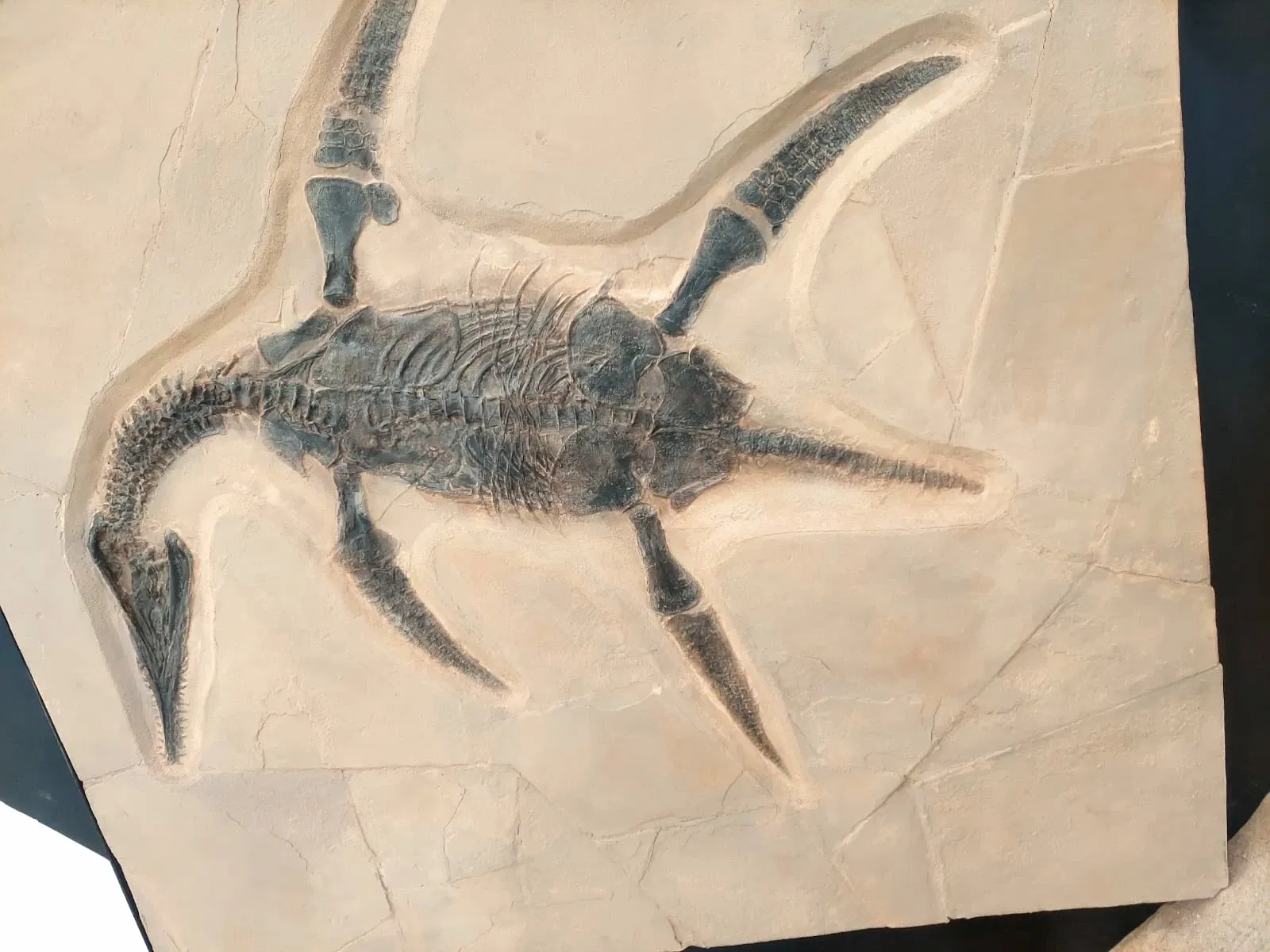 Discover Interactive Museum of Science and Technology