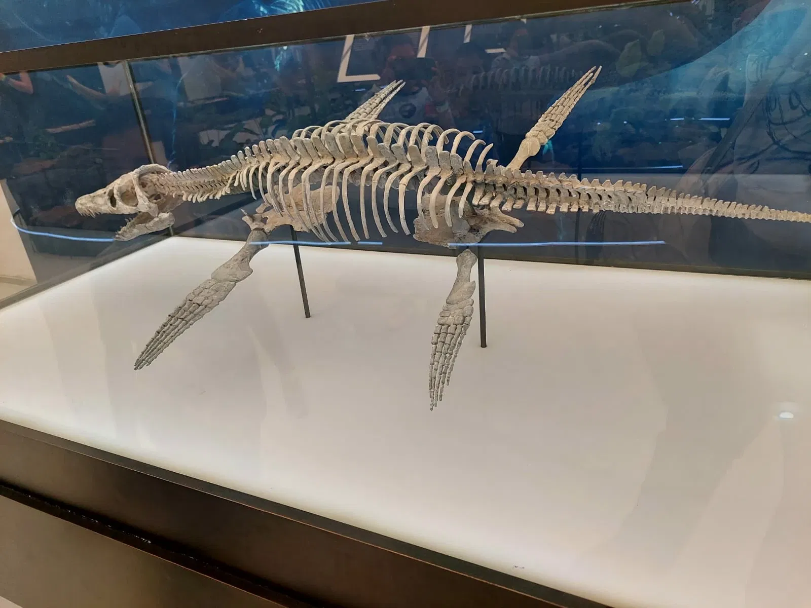 Discover Interactive Museum of Science and Technology