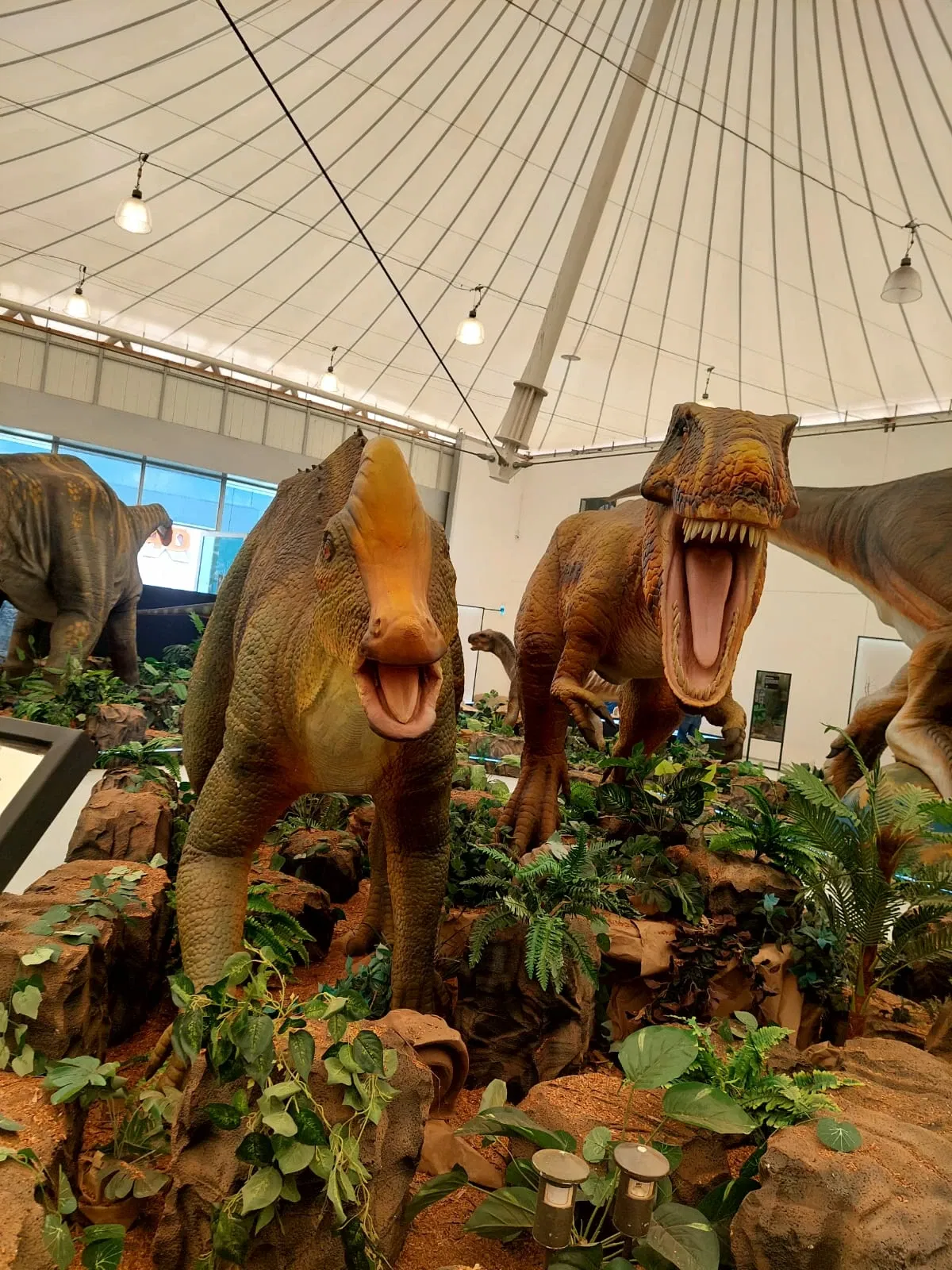 Descubre Museo Interactivo de Ciencia y Tecnología