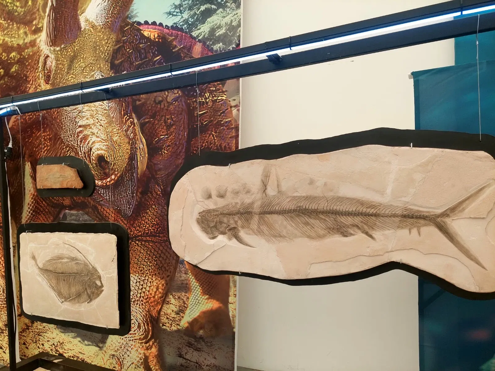 Descubre Museo Interactivo de Ciencia y Tecnología