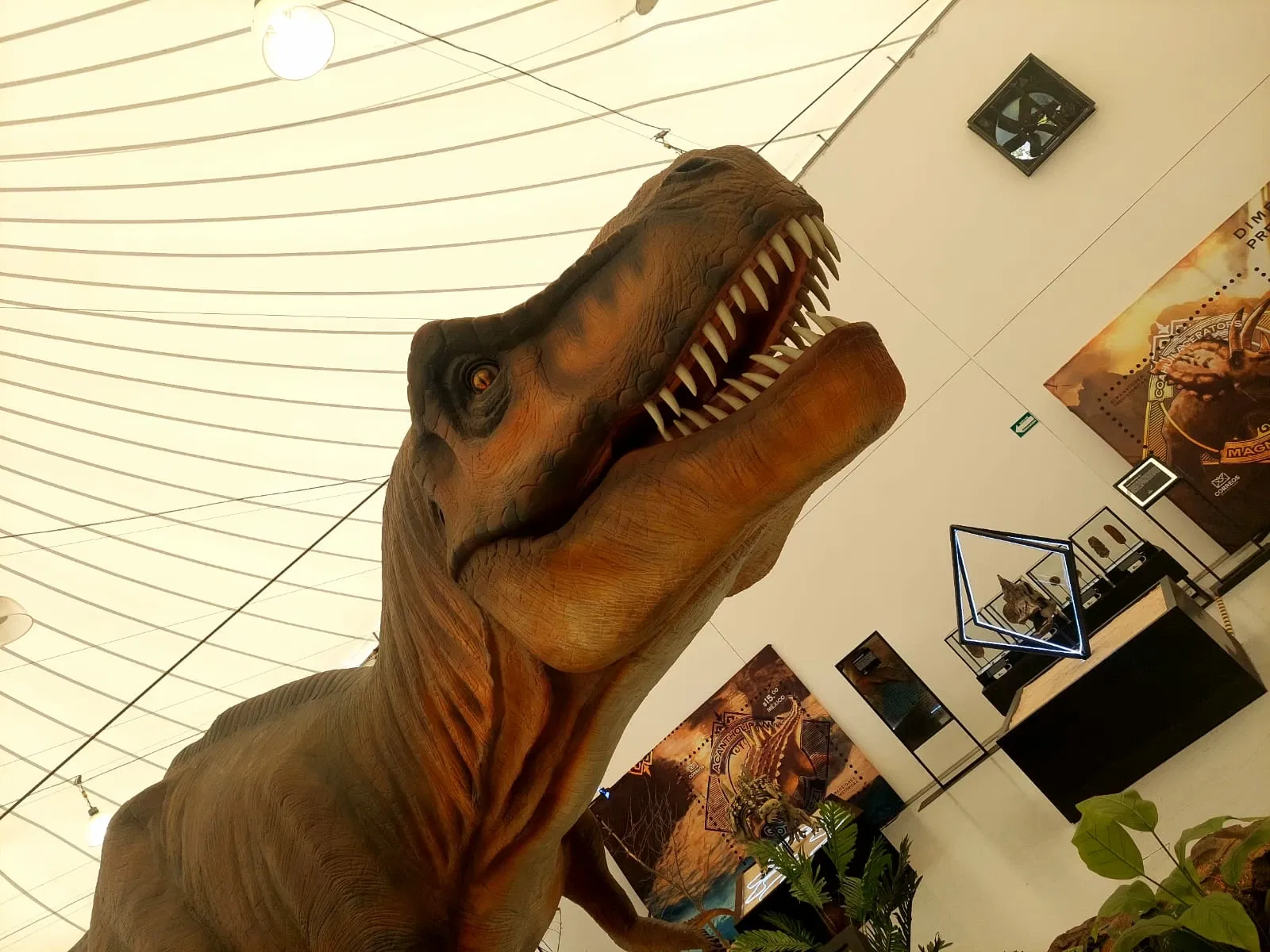 Discover Interactive Museum of Science and Technology