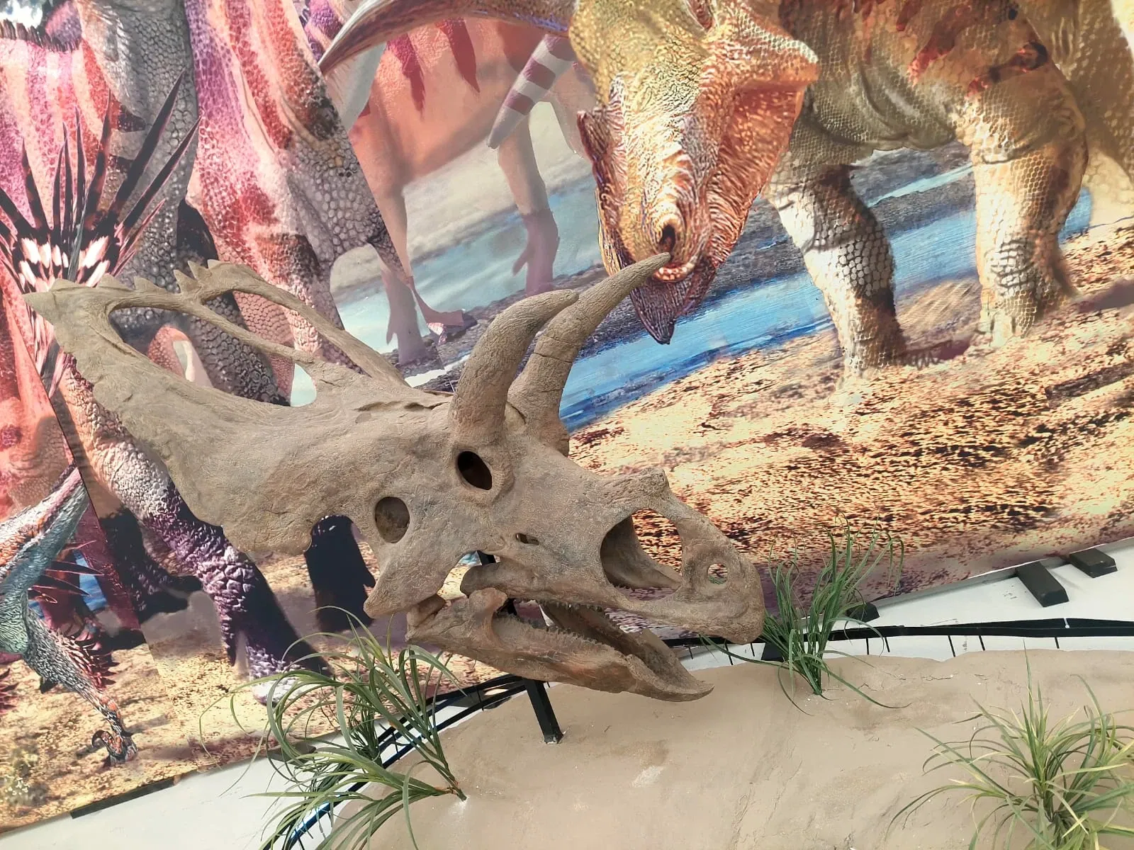 Discover Interactive Museum of Science and Technology